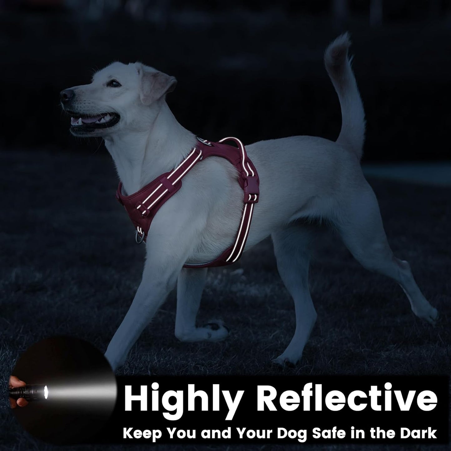 No Pull Dog Harness, Reflective Puppy Vest for Small Medium Large Sized Dog(Burgundy Red,XL)