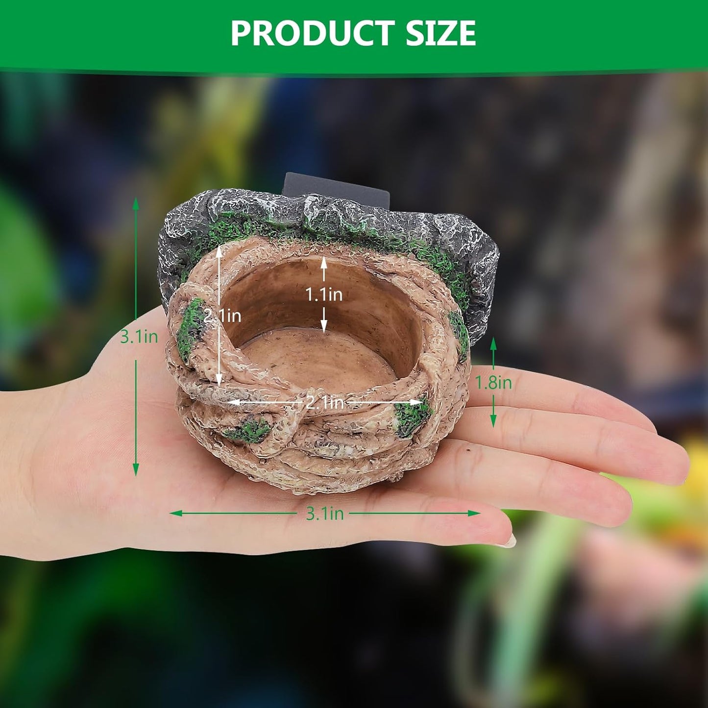 Magnetic Reptile Feeding Ledge, Gecko Feeder Ledge with One Piece Cup, Hollow Vine Food Dish, Reptile Water Bowl for Bearded Dragon Lizard Snake