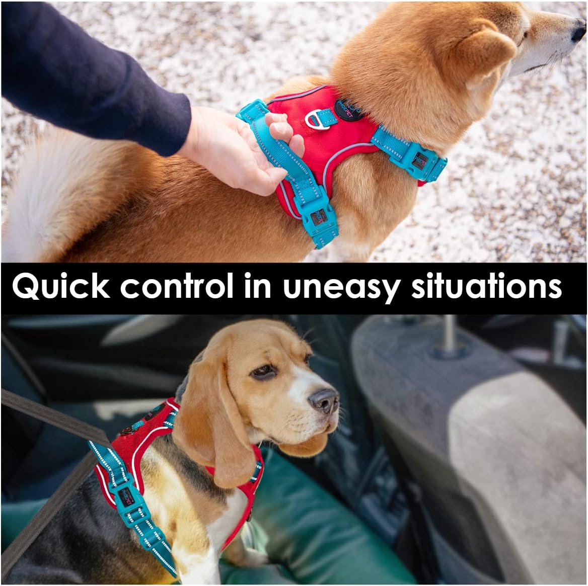 PHOEPET No Pull Dog Harness, Unique Colors Reflective Adjustable Dog Vest, with Soft Training Handle Metal Clips for Small Medium Large Dogs (Red Base & Teal Straps,S)