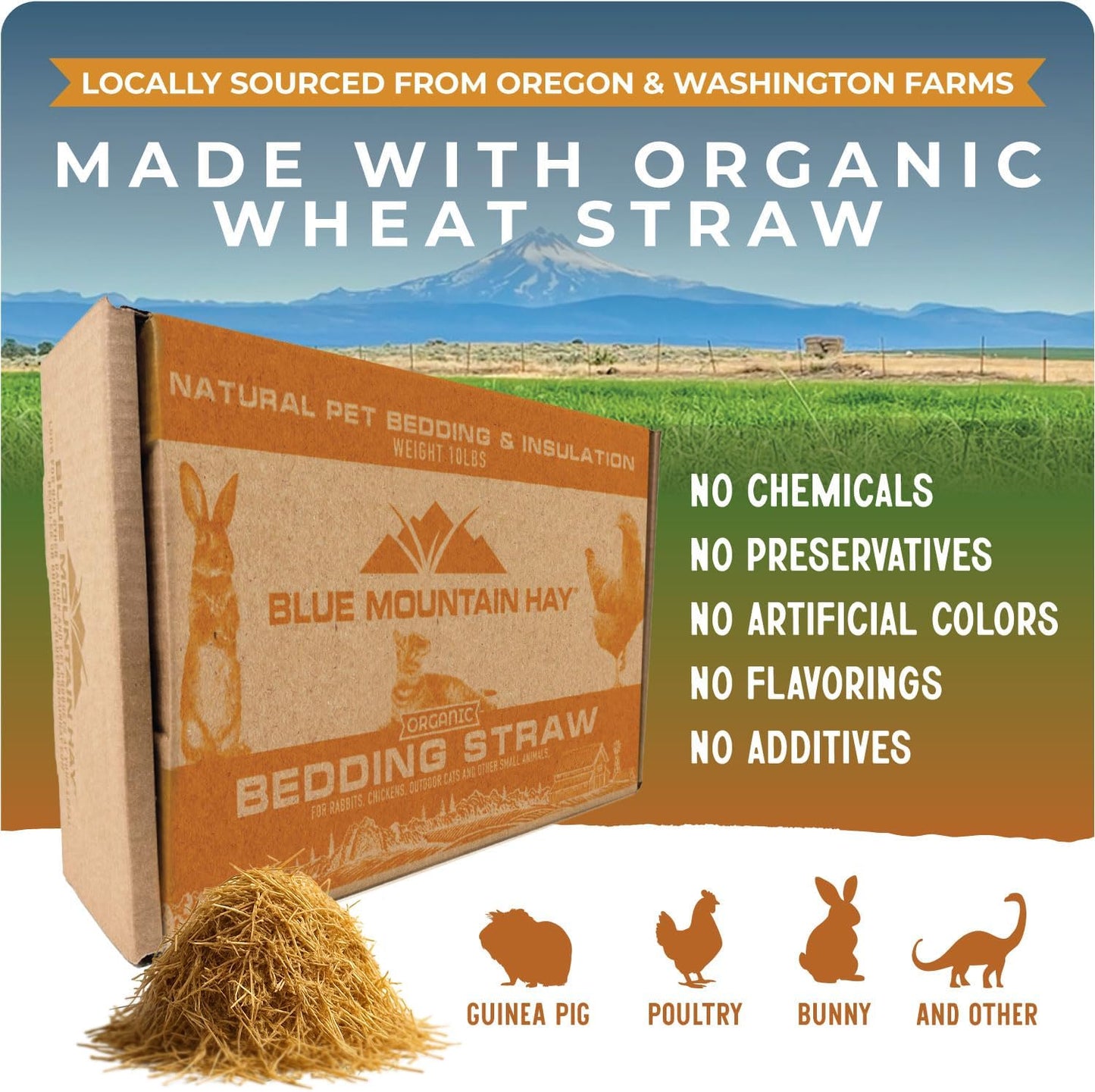 Blue Mountain Hay | Organic Bedding Straw (25 lb) | Natural Pet Bedding & Insulation for Rabbits, Guinea Pigs, Goats, Chickens, Stray & Feral Cats, and Small Animal Shelters