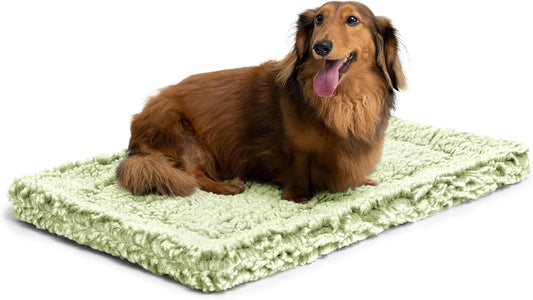 Stoutwool Indestructible Dog Bed - Fluffy Chew Proof Dog Crate Pad - Tough Kennel Pad for Aggressive Chewers - Washable, Ideal for Small Breeds & Fits 24-Inch Crate - 23"x16", Gleam