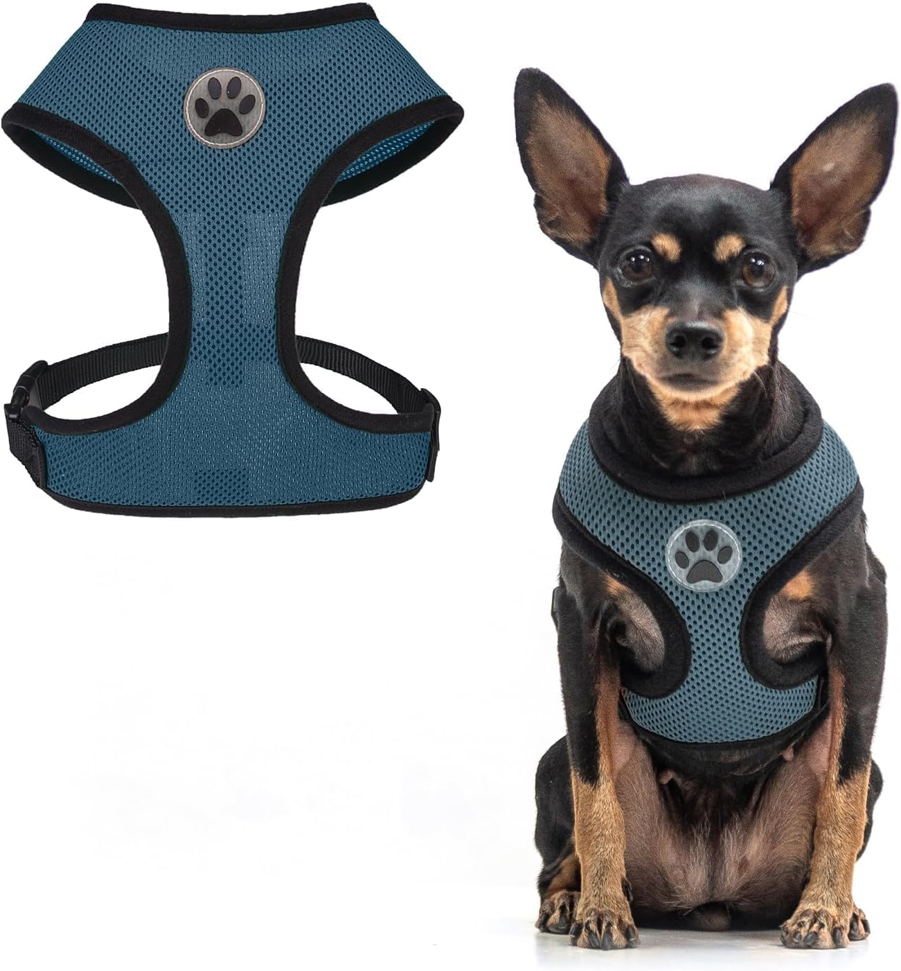 BINGPET Small Dog Harness - Breathable Mesh Puppy Cat Harnesses - No Pull Adjustable Dog Harness Dog Vest Harness for Small and Medium Dogs