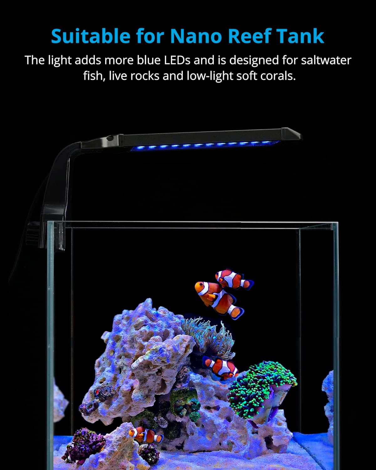 NICREW Marine Clip on Aquarium Light, Saltwater Fish Tank Light for Coral Reef Tanks with LCD Timer, 2 Lighting Modes