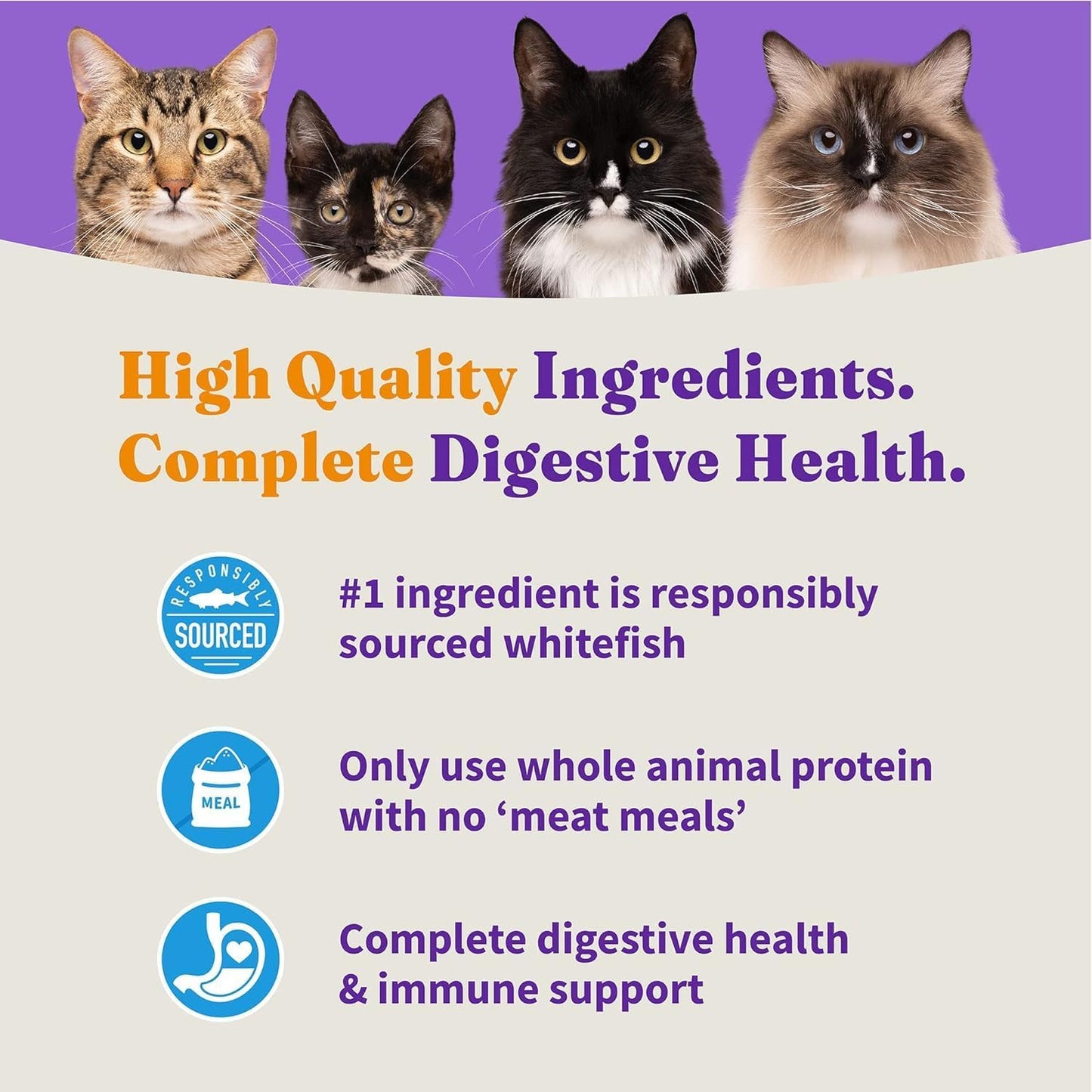 Halo Holistic Cat Food Wild Caught Salmon & Whitefish Formula, Healthy Grains Dry Cat Food, For Sensitive Stomach Support, Kibble for Adult Cats, 10 lb Bag