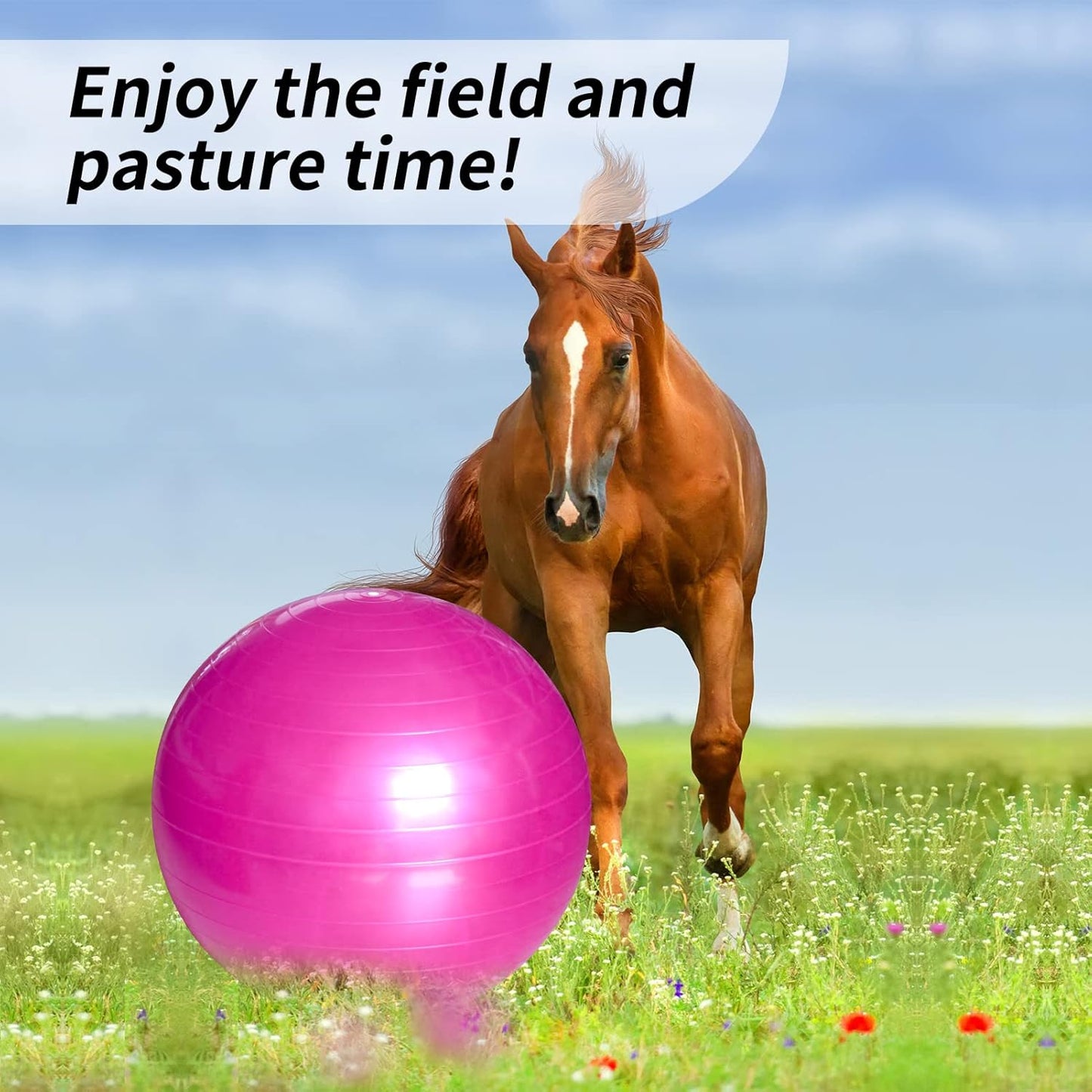 17 Inch Horse Play Balls Anti-Burst Herding Ball for Horse Mega Equine Ball for Play Training Horses Soccer Balls