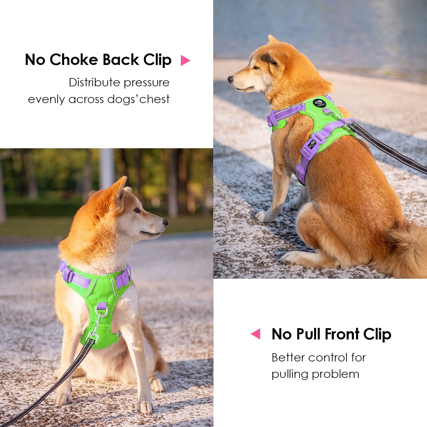 PHOEPET No Pull Dog Harness, Unique Colors Reflective Adjustable Dog Vest, with Soft Training Handle Metal Clips for Small Medium Large Dogs (Green Base & Purple Straps,M)