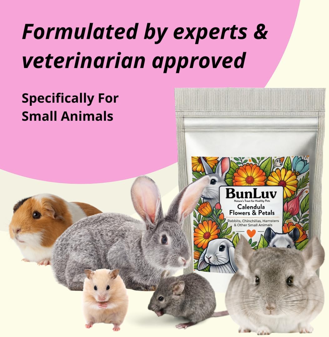 Pampered Chicken Mama Organic Dried Calendula Flowers for Small Animals | Chinchillas, Rabbits, Hamsters, Guinea Pigs | Natural Pet Food Supplement (8 Ounces)
