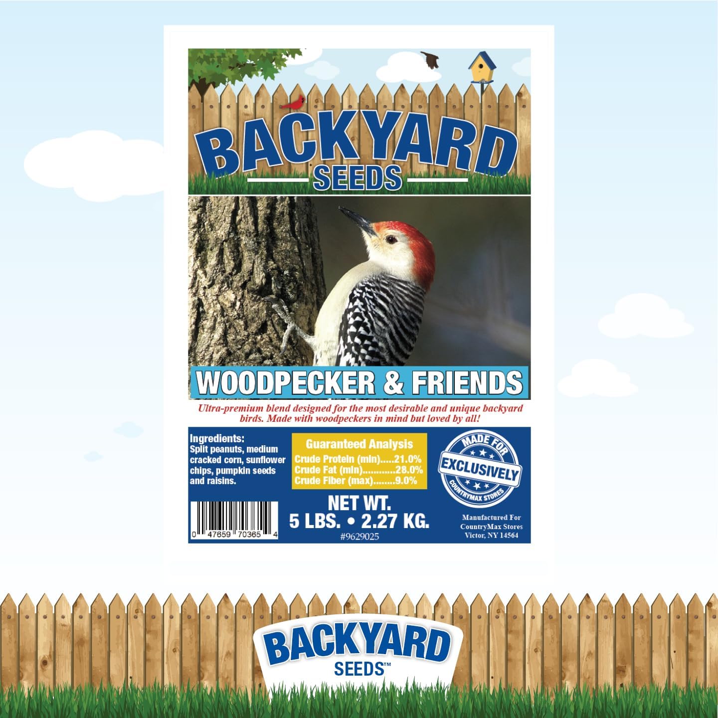CountryMax Backyard Seeds Woodpecker No Waste Bird Seed Mix – 5 lb Bag | Shelled Peanuts, Sunflower Chips, Tree Nuts | Attracts Woodpeckers, Nuthatches, Jays