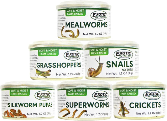 Canned Insect Assortment 6 Pack - Healthy High Protein Treat - For Hedgehogs, Sugar Gliders, Reptiles, Chickens, Lizards, Bearded Dragons, Turtles, Fish, Birds, Opossums, Skunks and other Insectivores