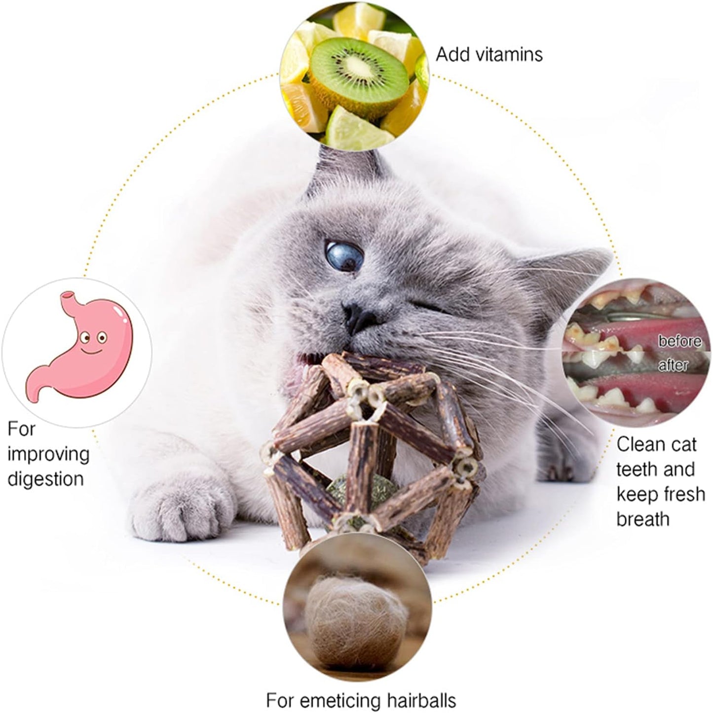 Catnip Toys-2Pcs Natural Silvervine Stick Catnip Ball&Bell Ball-Cat Toys for Indoor Cats- Cleaning Teeth Molar Tools Matatabi Cat Chew Toy-Kitten Toys All Breeds