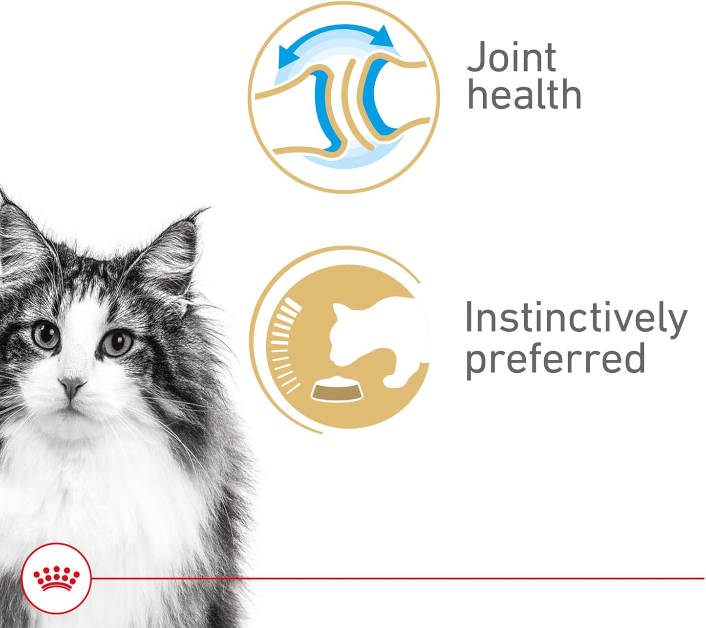 Royal Canin Feline Health Nutrition Aging 12+ Thin Slices In Gravy Canned Cat Food, 3 oz Can (24-count)