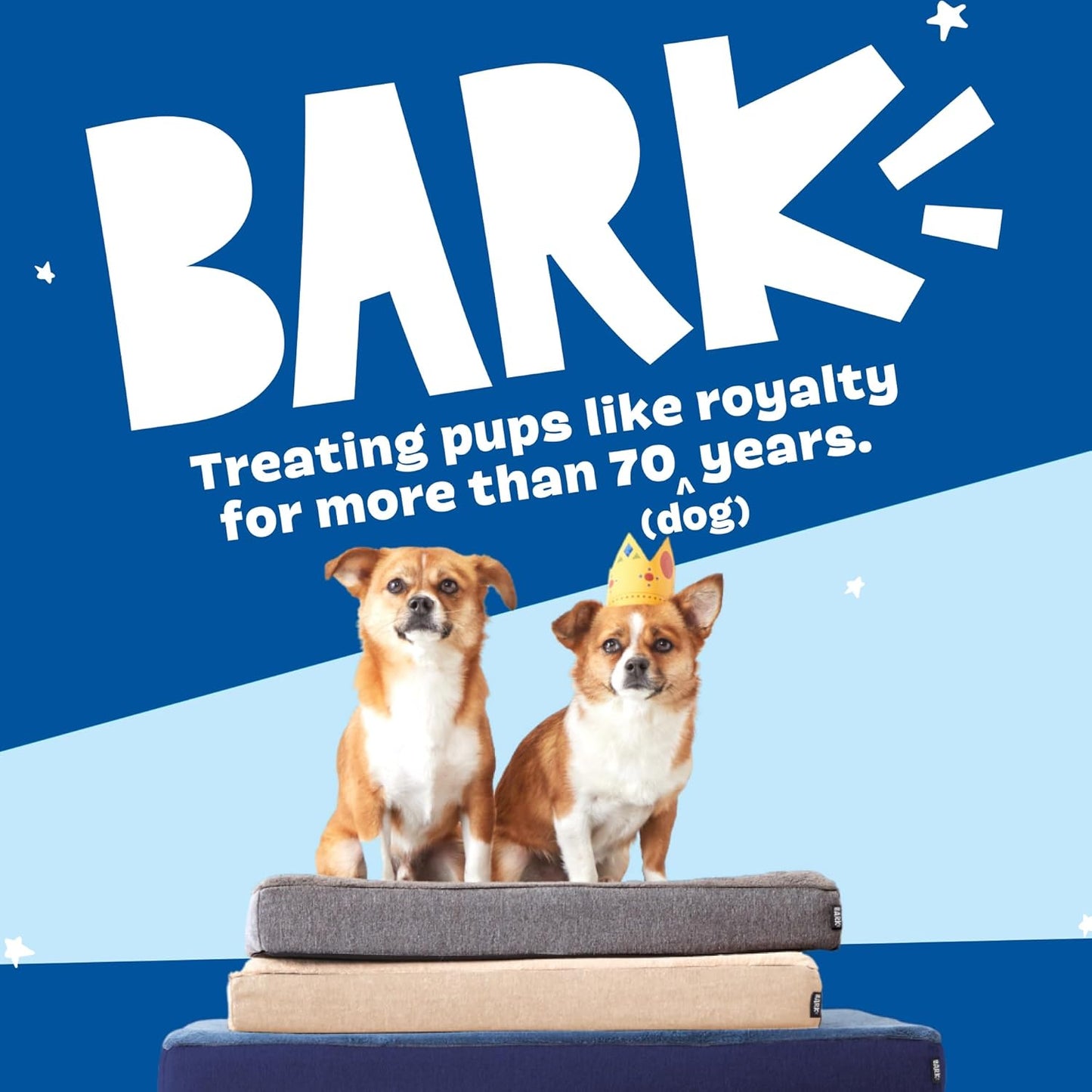 Barkbox Orthopedic Dog Bed with Memory Foam, Premium Comfort for Dogs and Puppies, Dog Bed for Joint Relief and Restful Sleep, Durable and Easy to Clean - Grey, Small