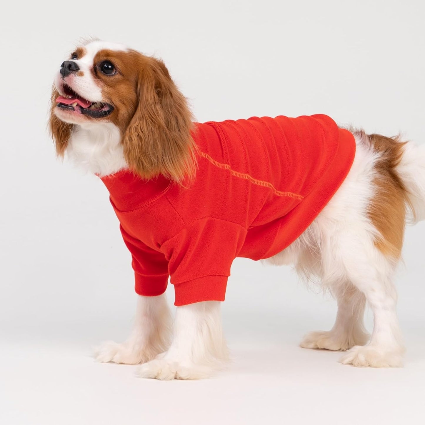 Fitwarm 3 Pack Classic Fleece Dog Sweater, Winter Clothes for Small Dogs Boy Girl, Turtleneck Dog Sweatshirt, Pet Apparel, Orange Red, Royal Blue, Neon Yellow, XS