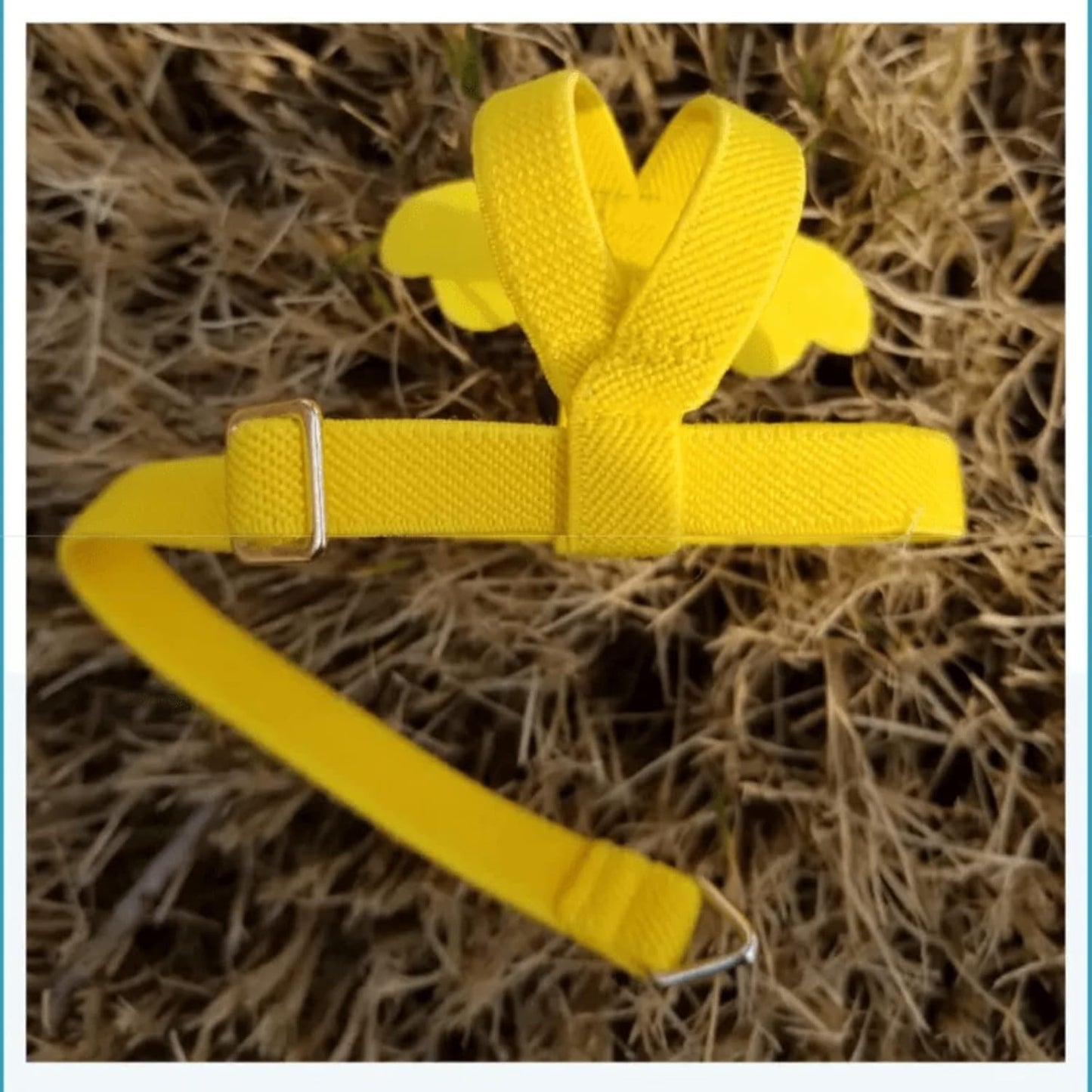 Pet Parrot Bird Harness Leash Adjustable Bird Flying Harness Traction Rope with Cute Wing for Parrots Pigeons Budgerigar Lovebird Cockatiel Mynah Outdoor Training Toy (S, Yellow)