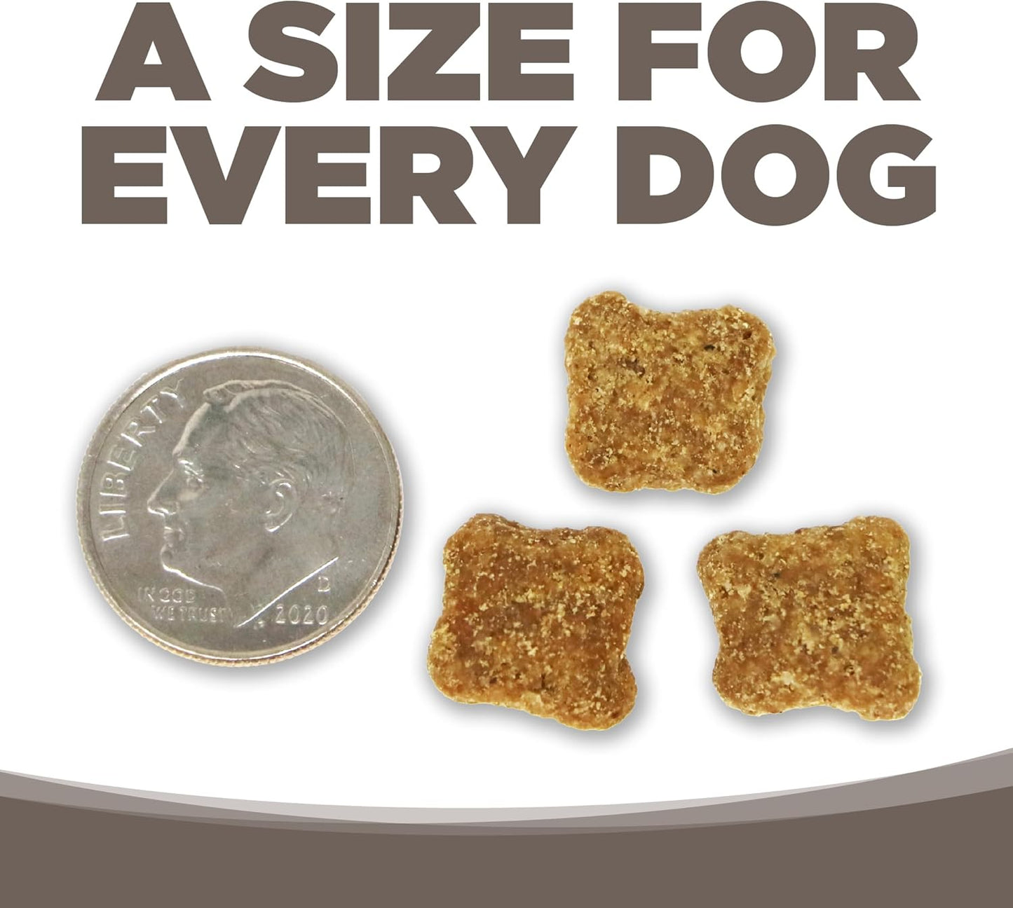 NutriSource Dry Dog Food for Seniors, Chicken and Rice, 4LB