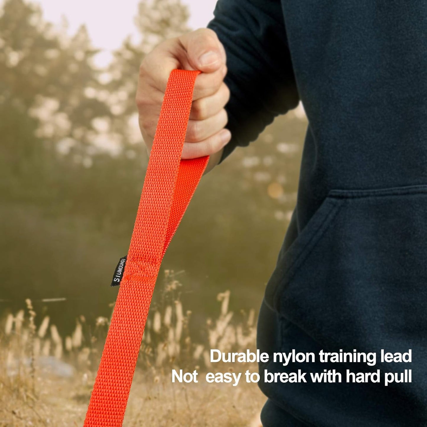 Dog/Puppy Obedience Recall Training Agility Lead - 15ft 20ft 30ft 40ft 50ft Training Leash - Great for Training, Play, Camping, or Backyard (30 Feet, Red)