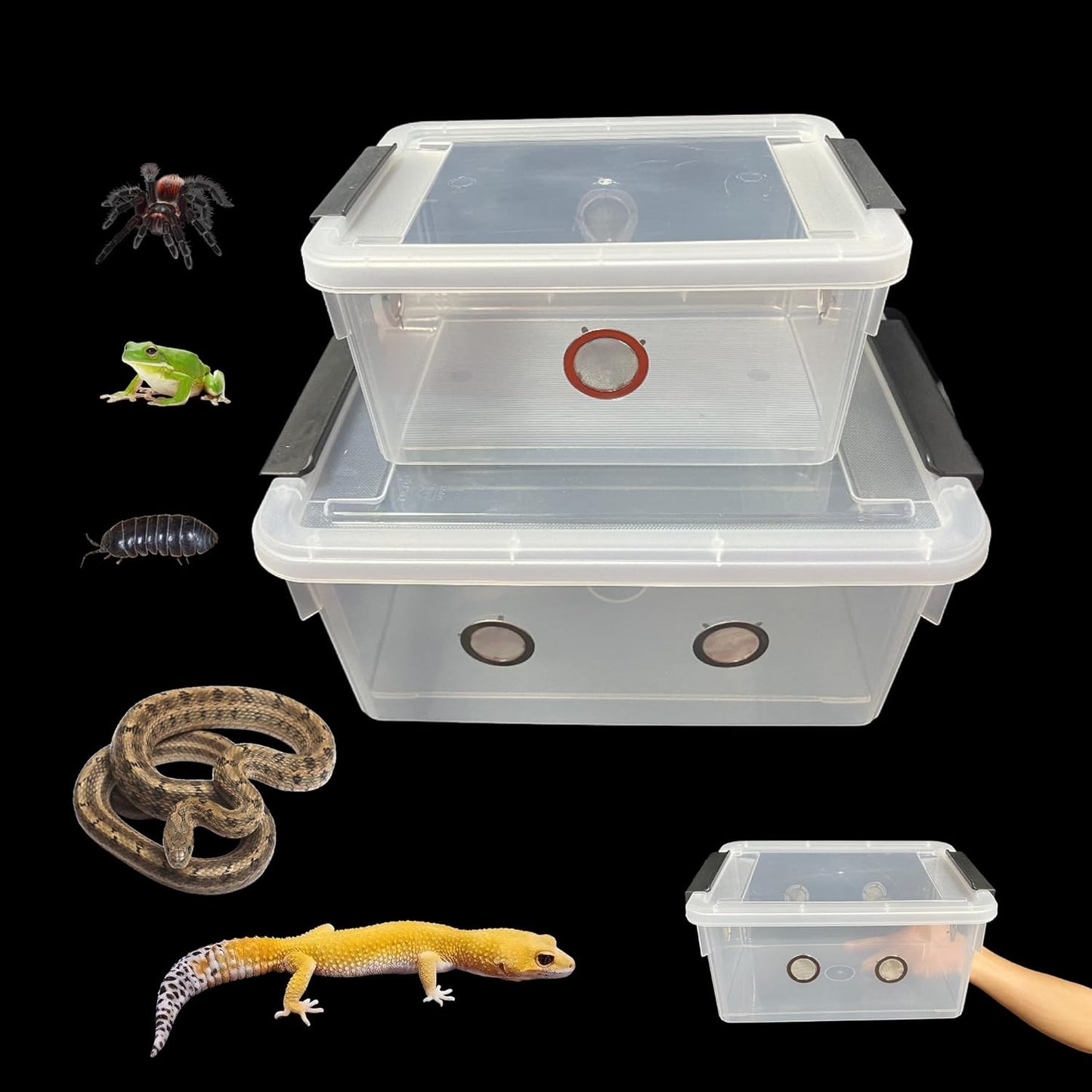 2pcs Large Reptile Feeding Box Snake Breeding Box Plastic Reptile Tank for Sling,Geckos,Frog,Lizards,Chameleons,Turtles, Serpents Scorpion Snail Insect Hermit Crab Spider