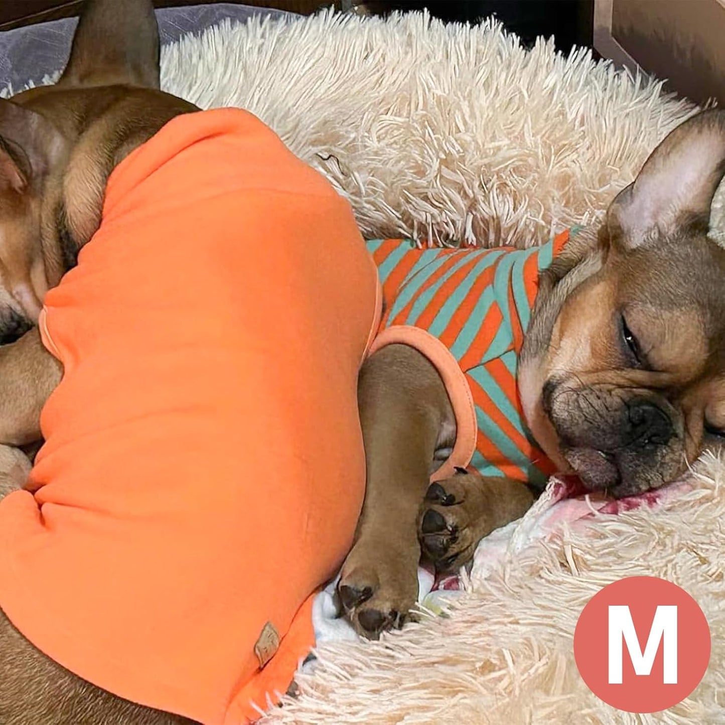 KYEESE 2Pack Dog Sweater Turtleneck Small Pets Sweaters Pullover Pet Sweatshirt Stretchy Dogs Clothes Soft Dachshund Clothes Warm Pet Coats Dog Sweaters for Small Dogs Male