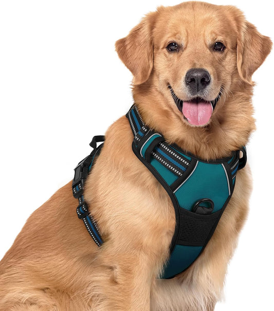 rabbitgoo Dog Harness No Pull with 2 Leash Clips, Adjustable Soft Padded, Reflective Oxford No Choke Pet Vest with Easy Control Handle for Large Dogs, Blue Coral, XL