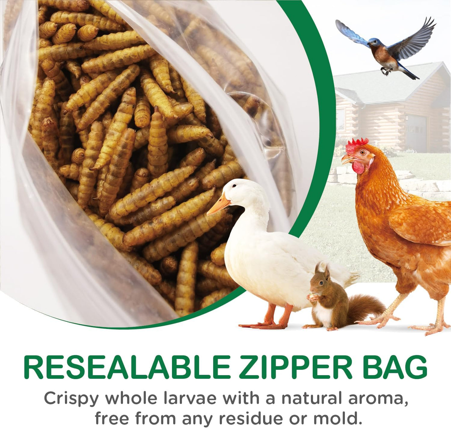 Ecoproento Dried Black Soldier Fly Larvae 2LB - High Calcium Chicken Feed - 85X More Calcium, High Protein Non-GMO Mealworms for Wild Birds, Ducks, Turkeys, Quails, Turtles, Chickens Treats