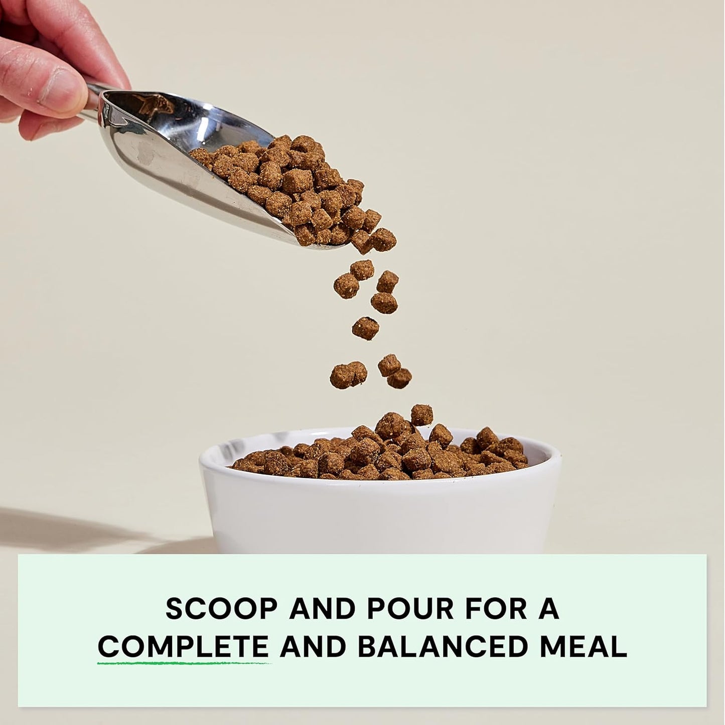 Open Farm, Grain-Free Dry Dog Food for Senior Dogs, Complete & Balanced Kibble to Support Joints & Mobility, Sustainably & Ethically Sourced Ingredients, Chicken & Turkey Recipe for Seniors, 22lb Bag