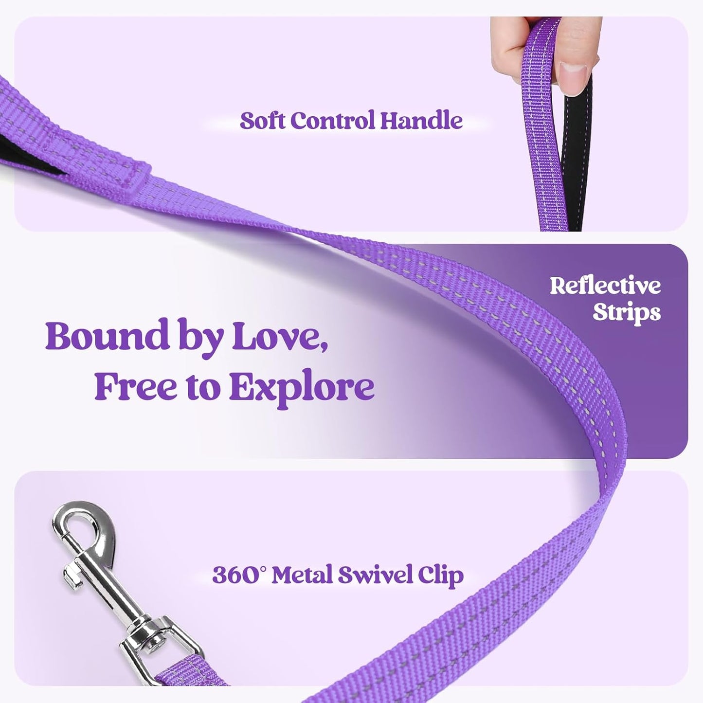 rabbitgoo Dog Harness Small Medium Sized and Leash Set, Step in Soft Light Puppy Vest, Breathable Mesh Pet Harness, Reflective for Safe Outdoor Walking, Purple L