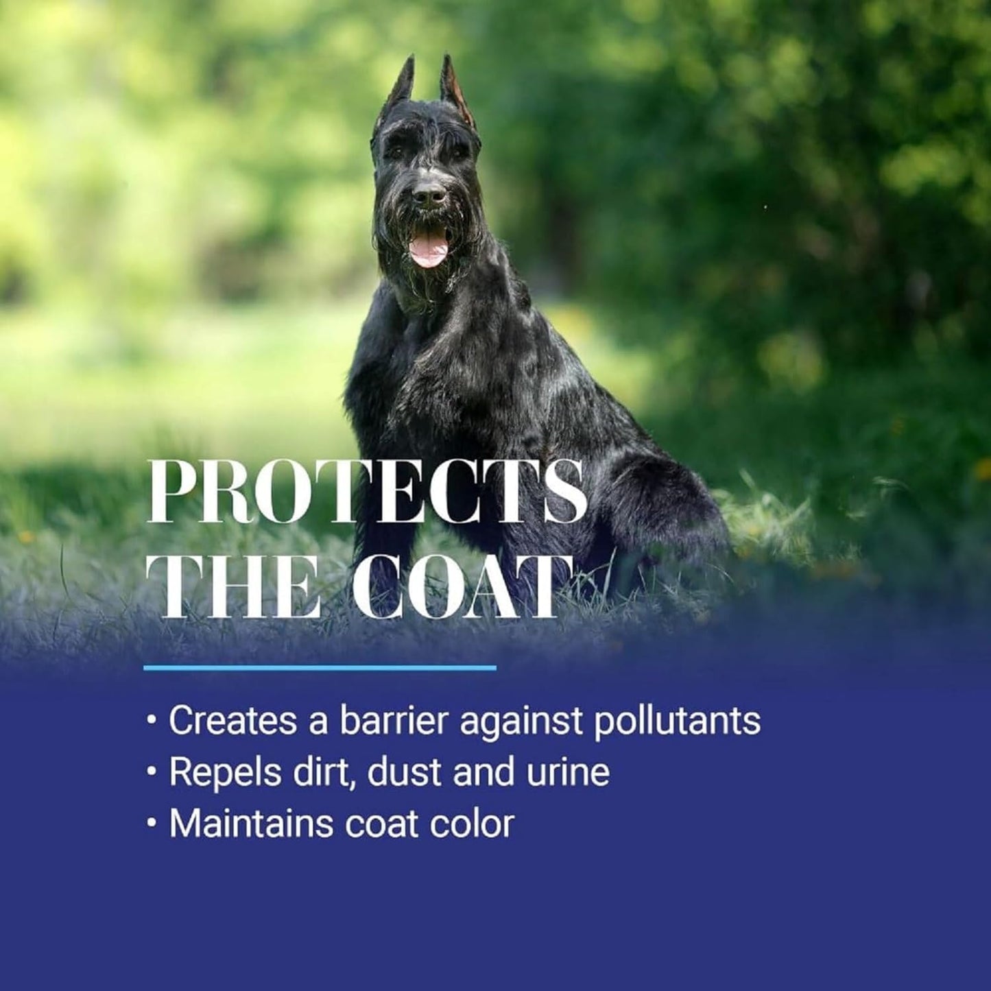 Chris Christensen Ice on Ice Detangler and Finishing Dog Spray, Groom Like a Professional, Ready to Use, Helps Brush/Comb Glide Through Coat, Conditions, No Residue, All Coat Types, Made in USA, 16 oz