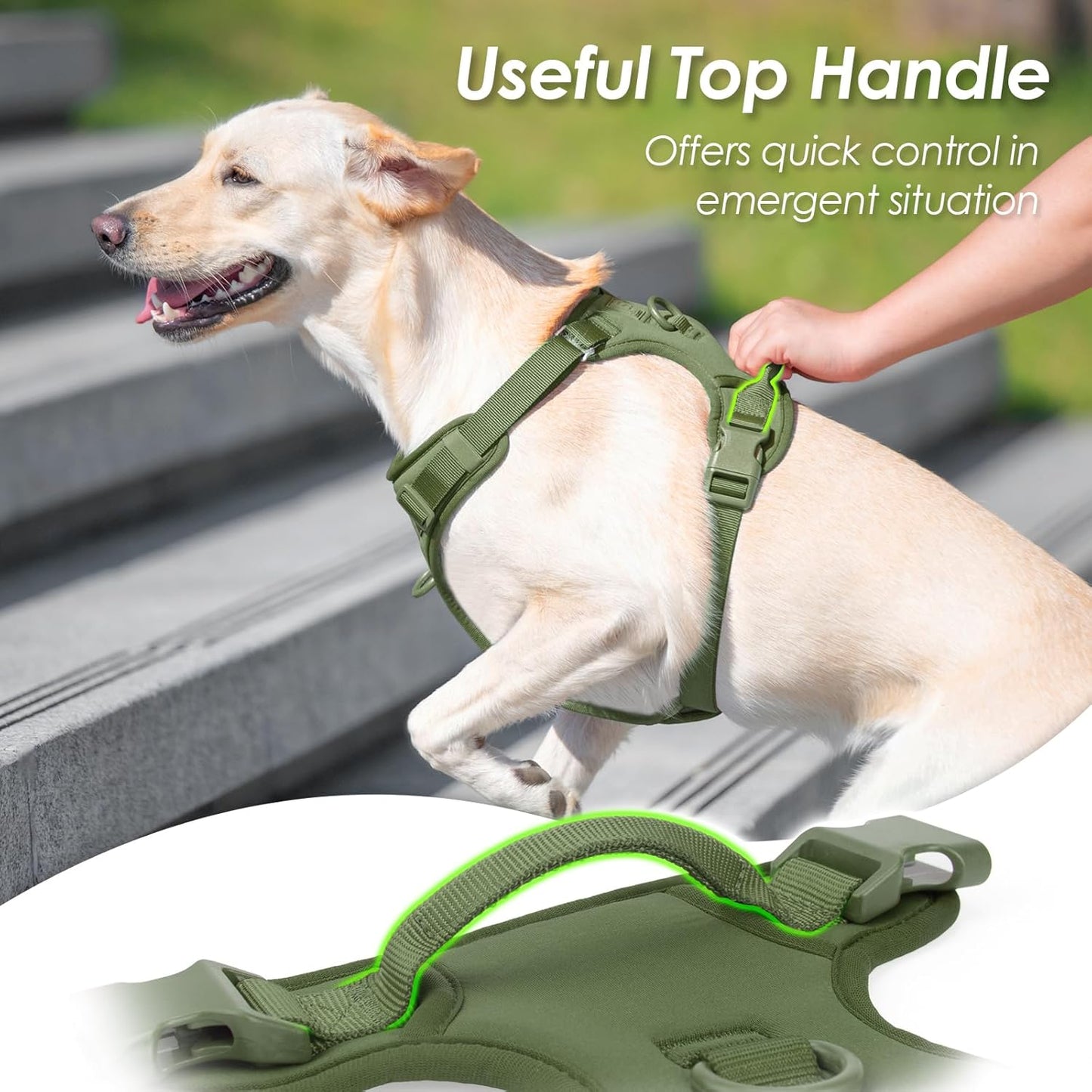 No Pull Dog Harness, Puppy Vest with Front Clip for Small Medium Large Sized Dog (Misty Green,M)