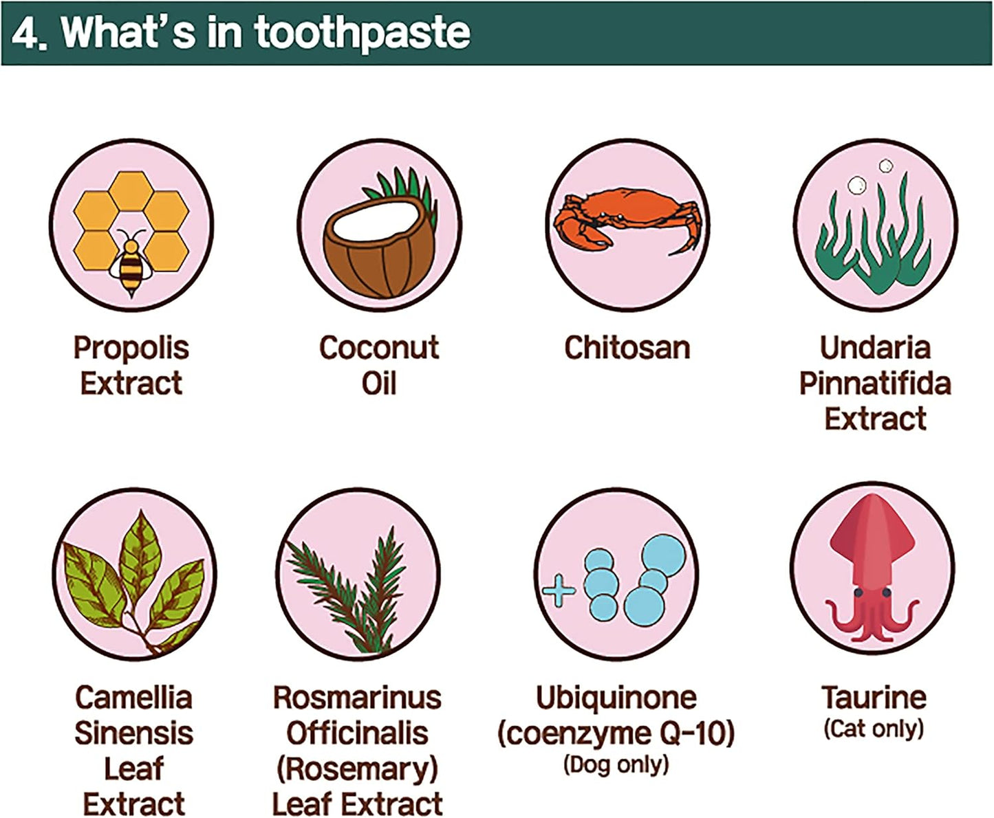 Cat Toothbrush & Toothpaste Kit – Flavor-Free Dental Gel for Cats – Finger Brush & Handle for Daily Oral Care – Plaque & Tartar Cleaning for Kittens and Adult Cats (1 Pack, 3 Count)