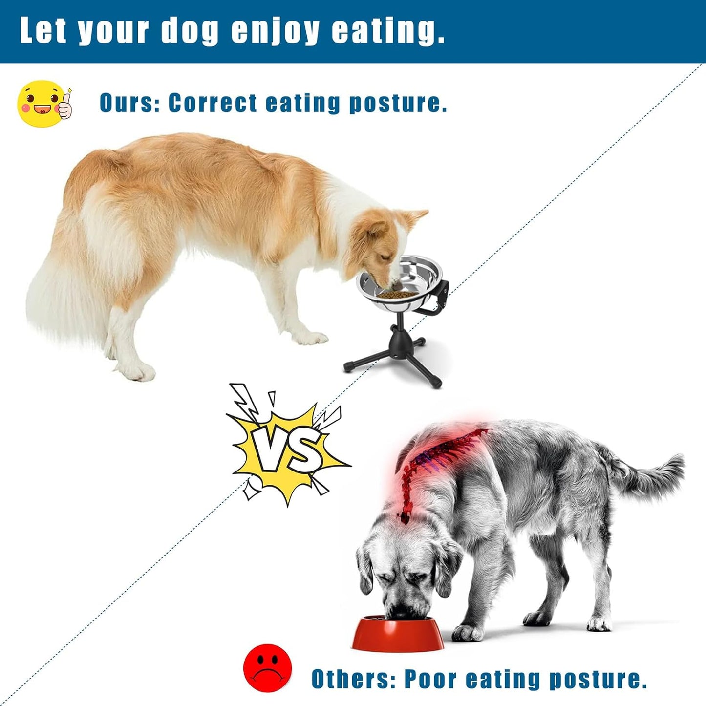 Elevated Dog Bowl with Adjustable Metal Stand, Medium Size for Dogs 30-70 lbs, 0.5 Gal 2 Liter, Stainless Steel Food & Water Bowl Set