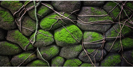 AWERT 72x18 inches Stone Aquarium Background Rock Fish Tank Background Rocky Terrarium Background Vinyl