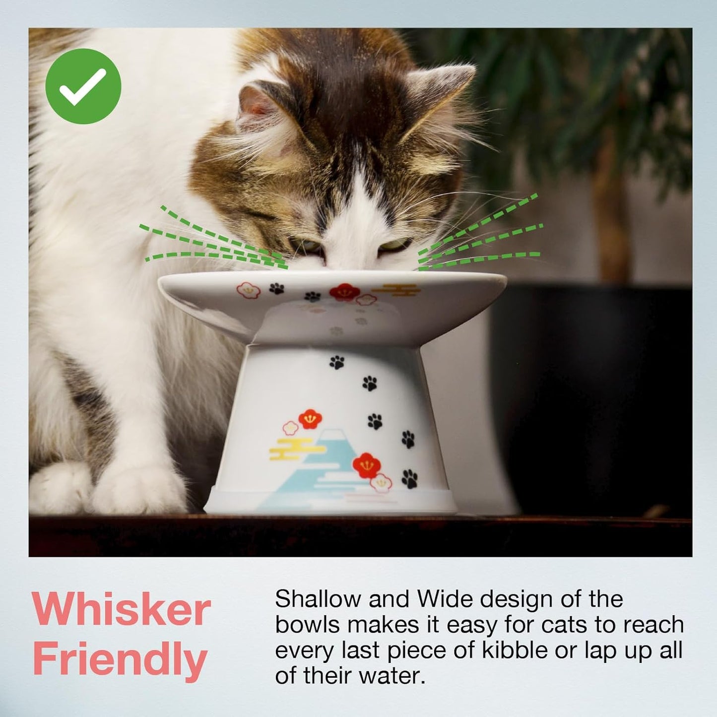 Necoichi Raised Cat Food Bowl – Ceramic Elevated Cat Bowl for Whisker & Neck Fatigue, Dishwasher Microwave Safe – Non-Slip & Anti Vomiting Ergonomic Design (Fuji, Extra Wide)