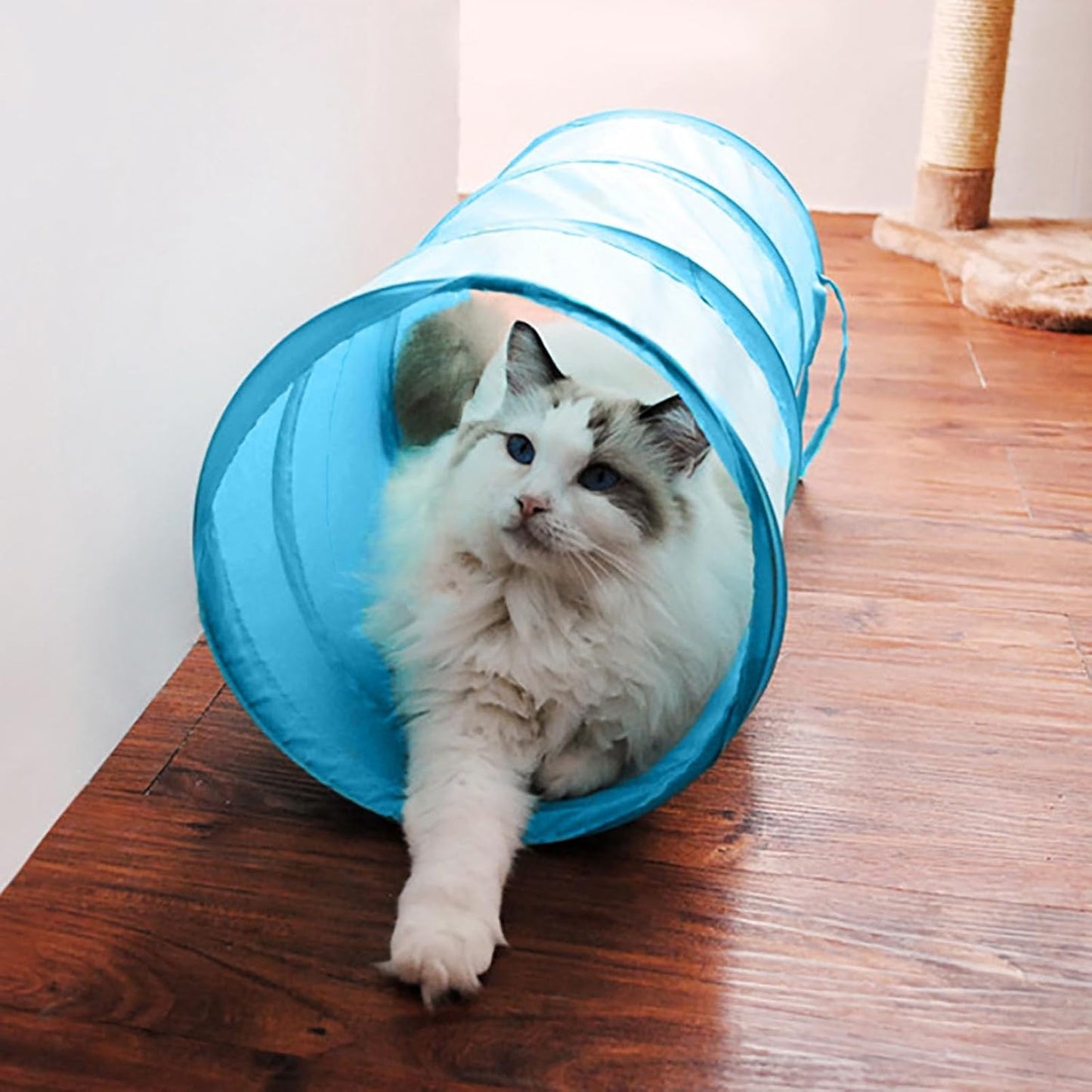 iCAGY Foldable Spiral Cat Tunnel - Indoor Toy for Small Cats, Kittens, and Rabbits - Tube for Interactive Play and Outdoor Fun - Pet Activity Toy 20" Family Pack 8 Pcs