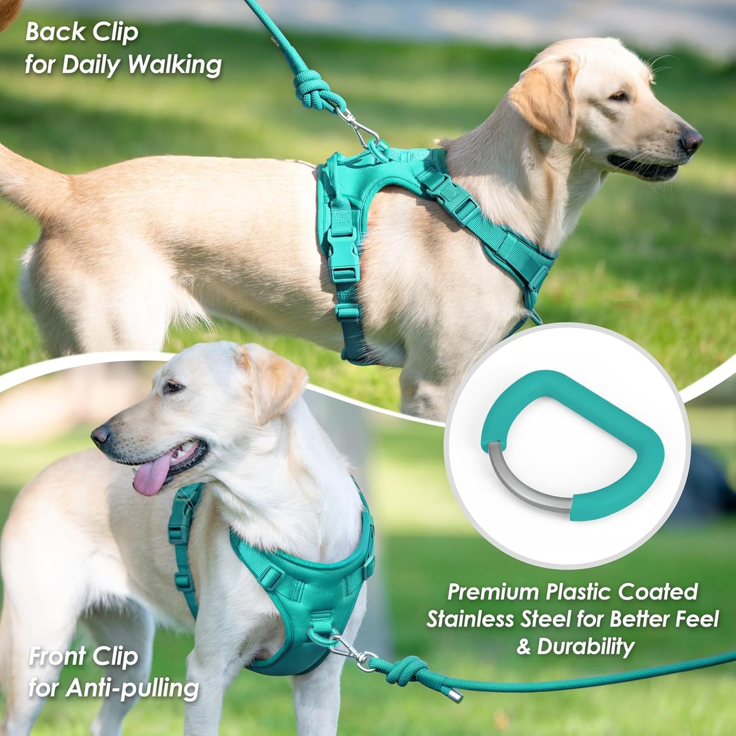No Pull Dog Harness, Puppy Vest with Front Clip for Small Medium Large Sized Dog(MARRS Green,S)