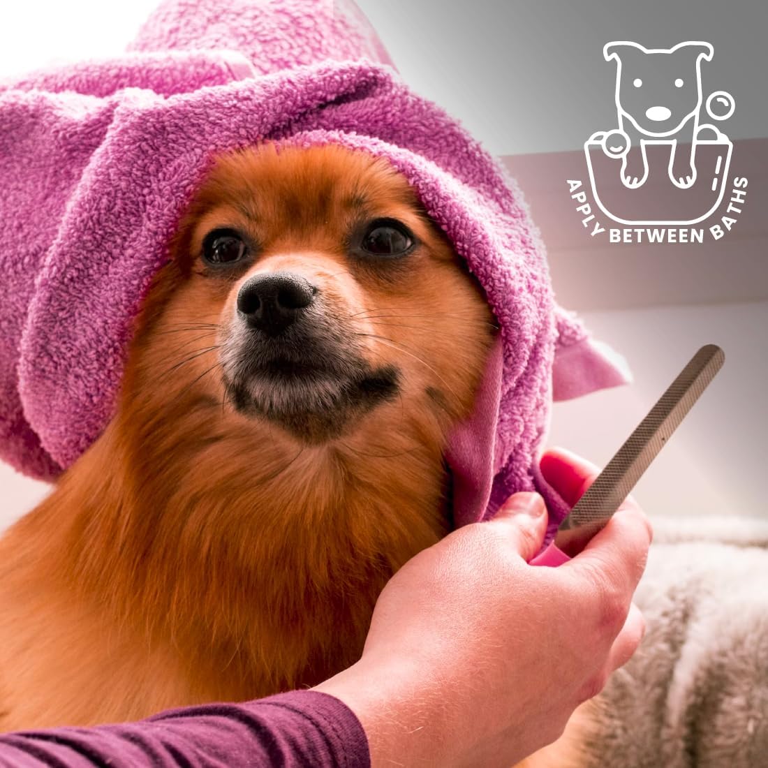 Best Shot UltraMAX Pro Finishing Spray, Ideal Detangler Spray for Pets, Hydrating and Soothing Pet Grooming Spray, for Dogs and Cats, 1.1 Gallon