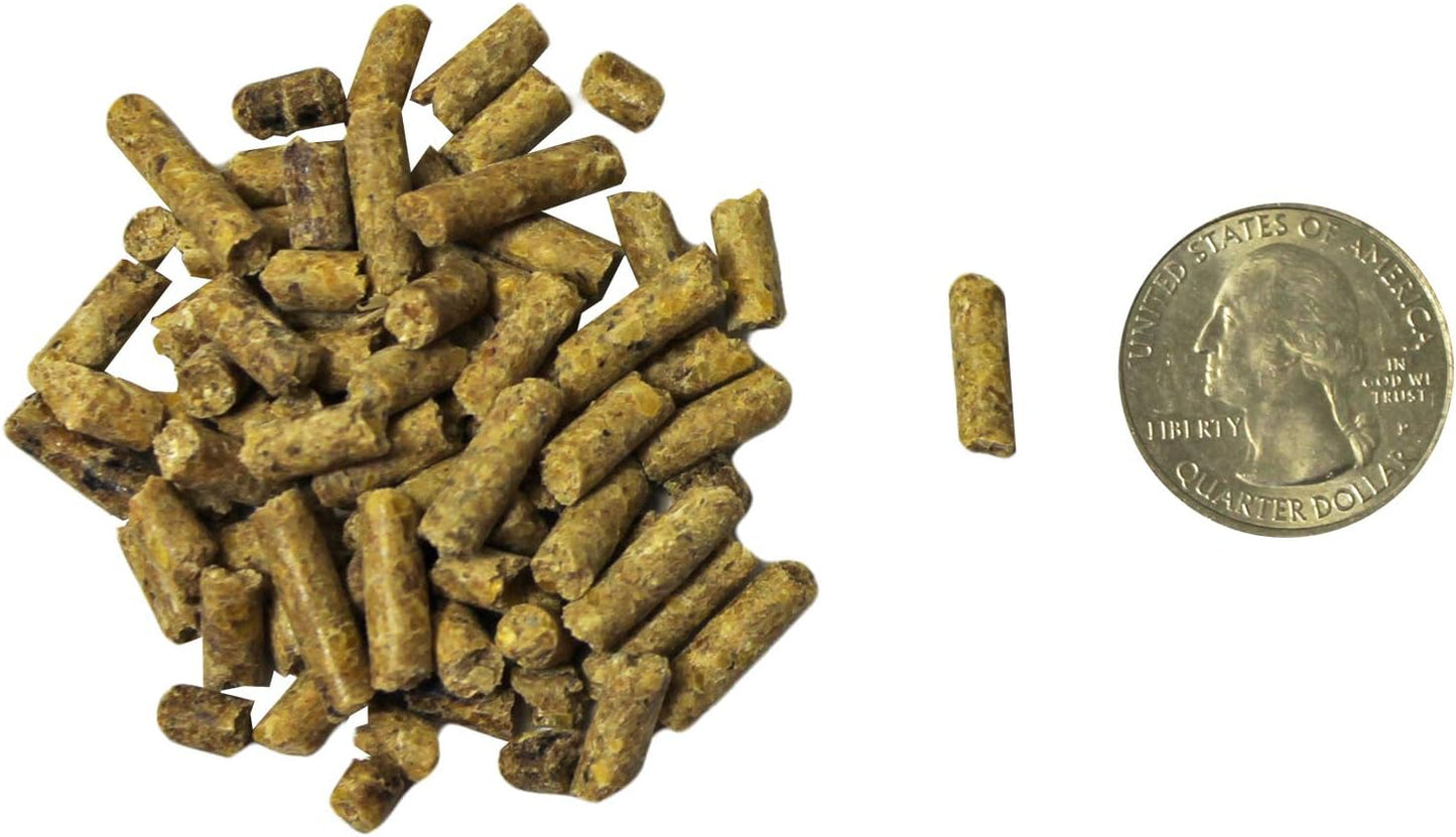 Exotic Nutrition Degu Diet (18lb) - Nutritionally Complete Healthy Pellet Diet with Whole Oats - for Domesticated Pet Degus