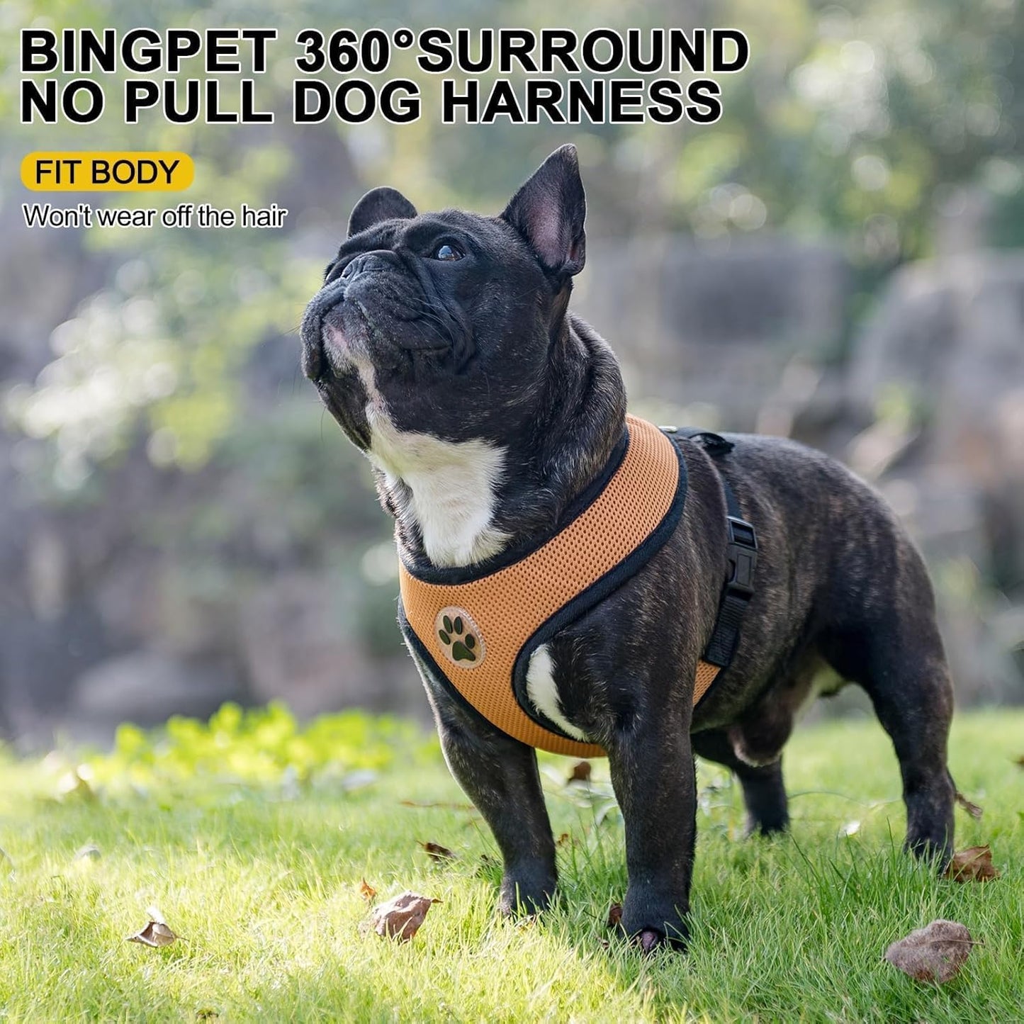 BINGPET No Pull Dog Harness,Soft Mesh Breathable All Weather Vest Harness,Safety Protection Design Durable Adjustable Step-in Easy Walk Dog Harness for Small Medium Large Dogs(Beige,L)