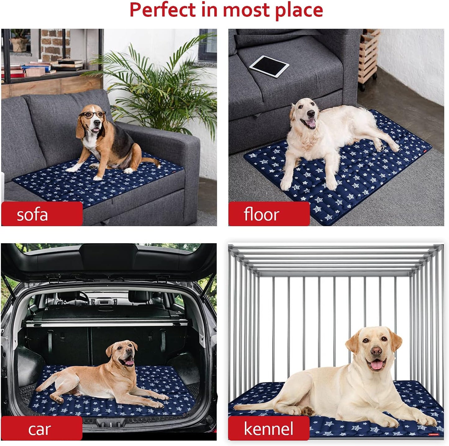 Dog Crate Mat (36" X 23"), Soft Dog Bed Mat with Cute Prints, Personalized Crate Pad, Anti-Slip Bottom, Machine Washable Kennel Pad
