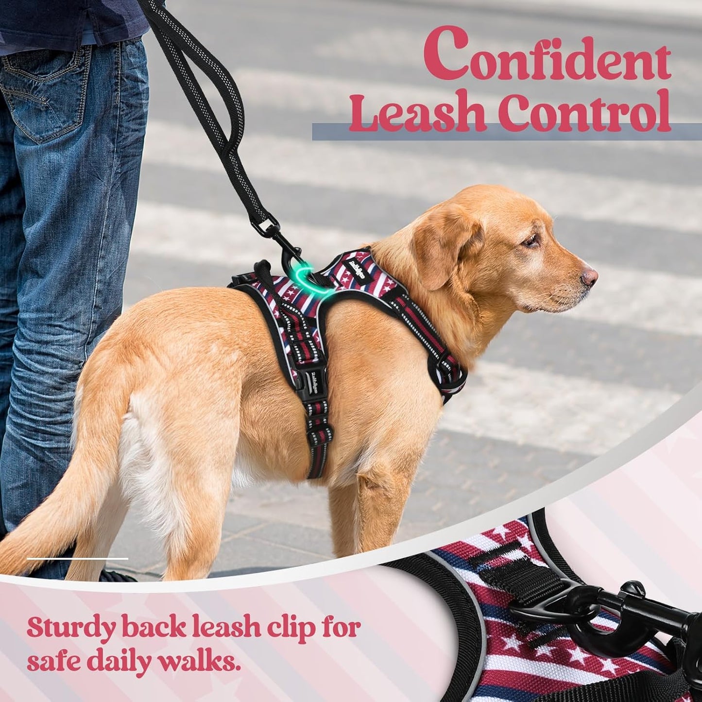 rabbitgoo Dog Harness No Pull with 2 Leash Clips, Adjustable Soft Padded, Reflective Oxford No Choke Pet Vest with Easy Control Handle for Large Dogs, Red Stripe, L