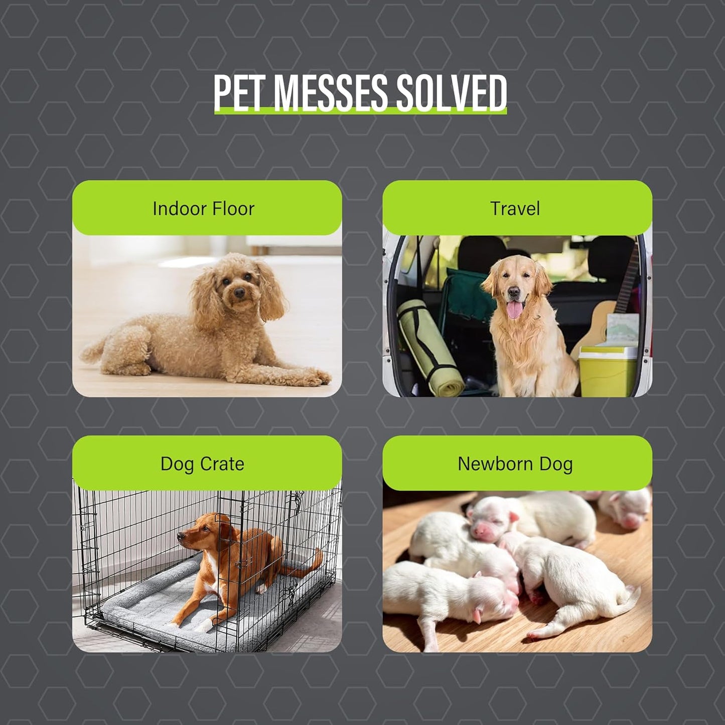 COCOYO Dog Training Pads Giant Size丨Carbon Absorb Eliminating Urine Odor Puppy Pads 丨 Premium Charcoal Dog Pee Pads (30 Count, XXXL 30x45 inch)