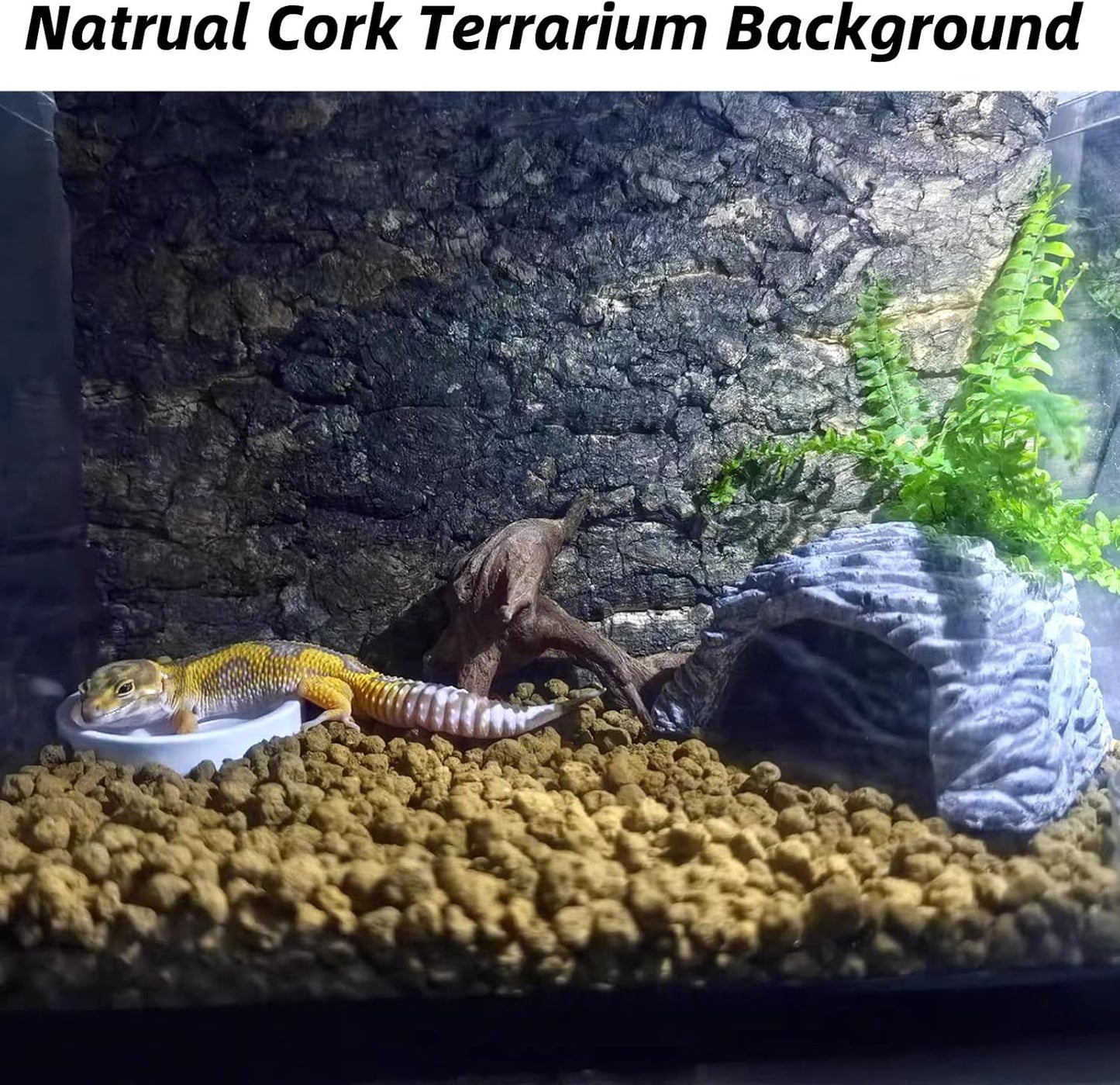 2PCS Cork Terrarium Background 15.7x11.8in Natural Cork Large Bark Backdrop Reptile Climbing Mat Habitat Decor for Spider Lizard Chamelon Turtle Beared Dragon