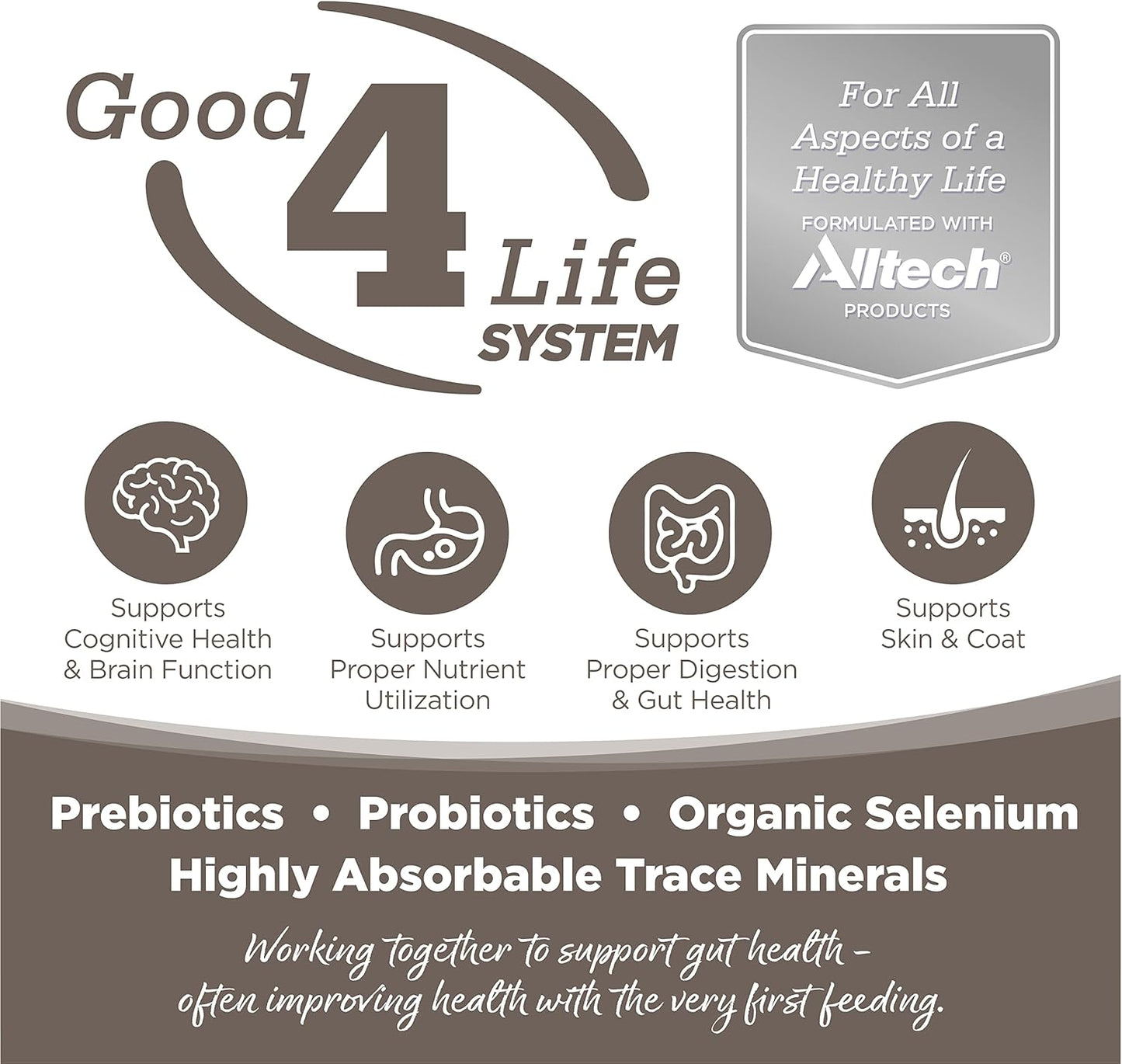 NutriSource Senior Dog Food, Made with Chicken and Rice, with Wholesome Grains, 30LB, Dry Dog Food