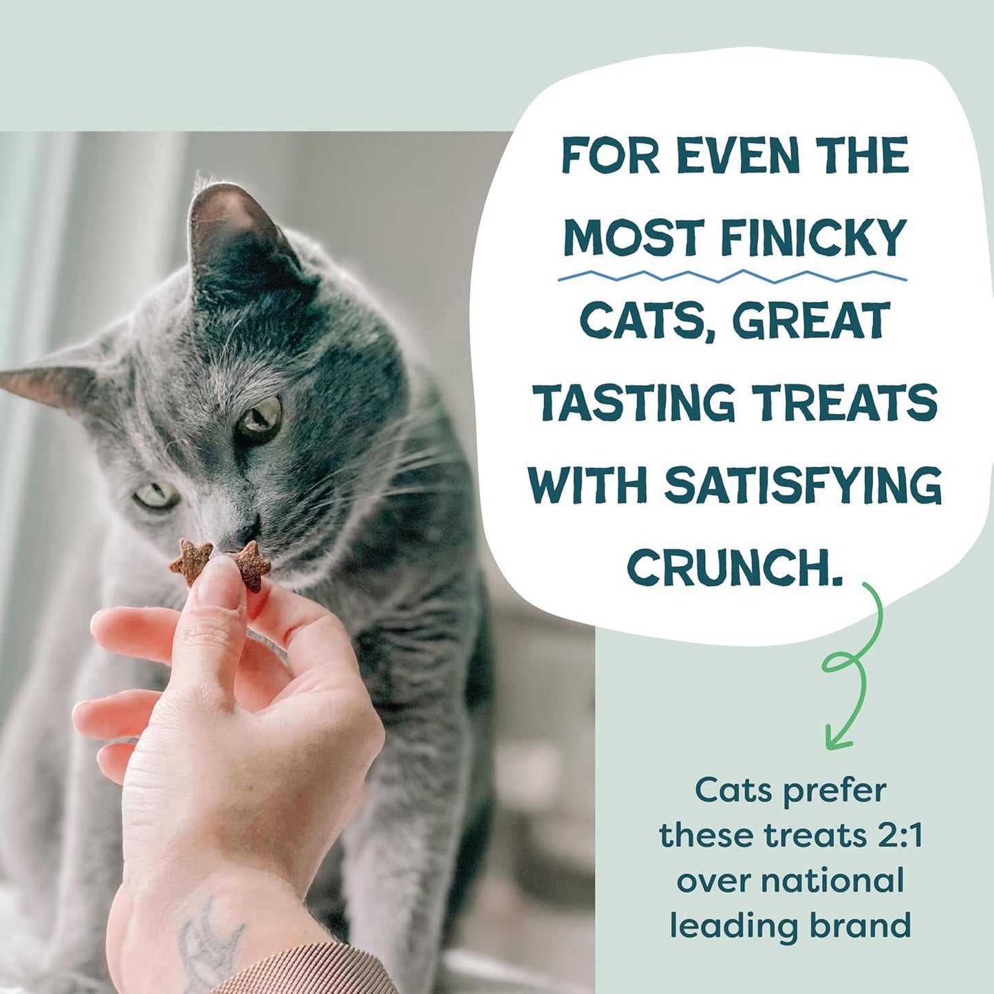 Shameless Pets Crunchy Cat Treats - Catnip Treats for Cats with Digestive Support, Natural Ingredients Kitten Treats with Real Chicken, Healthy Flavored Feline Snacks - Catnip N Chill, 3-Pk