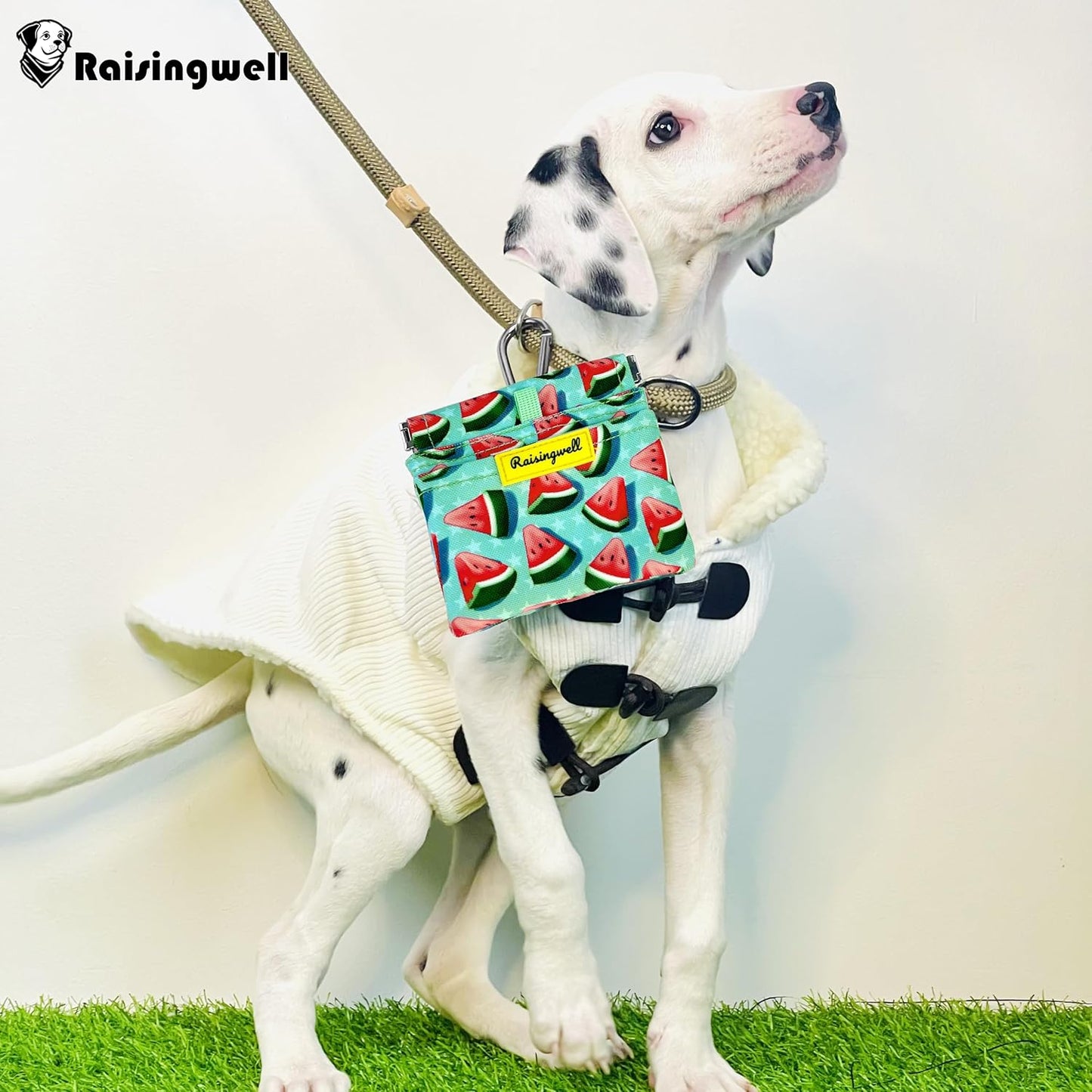 Dog Treat Pouch,Cotton Pocket Sized Training Holder, Hand Free Walking Funny Bag with Carabiner, Self-Closing Pet Feed Snack Reward, Behavior Aids for Puppy Travel or Outdoor Use（Watermelon）