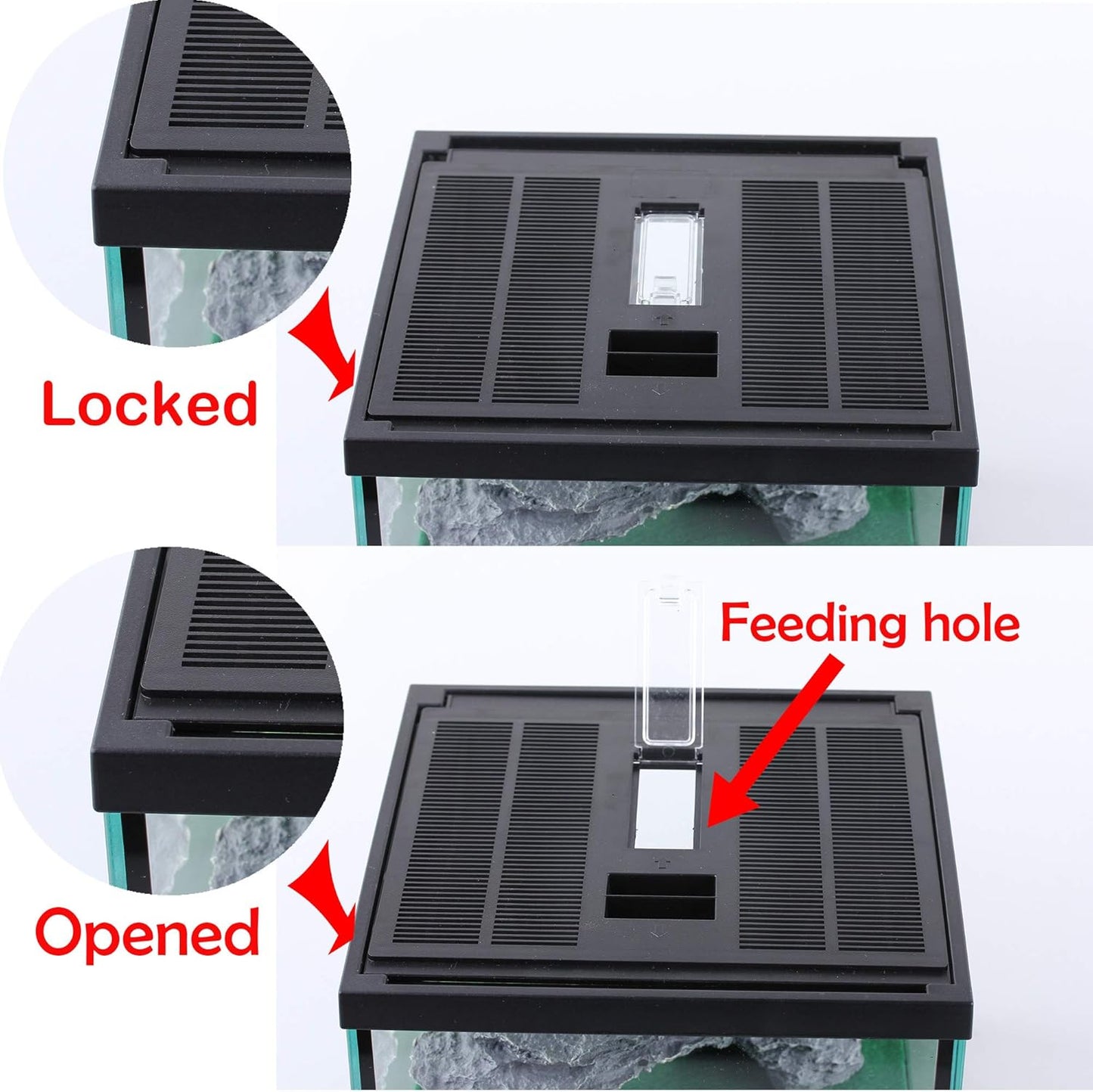 crapelles Glass Lizard Tank, Spider Box Kit, 7.8x7.8x5.9'' Tarantula Feeder Insects Beetle Habitat, Amphibians Terrarium for Small Pet, with Washable Mat, Resin Rock Shape Hideout, Artificial Flower