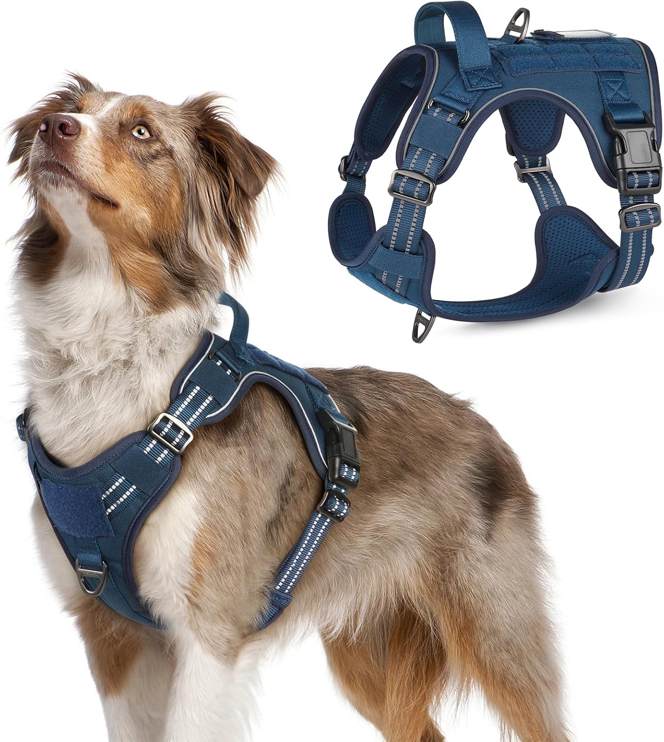 rabbitgoo Dog Harness No Pull, Military Dog Harness Medium Sized Dog with Handle & Molle, Easy Control Service Dog Vest Harness Training Walking, Adjustable Reflective Tactical Pet Harness, Blue, M