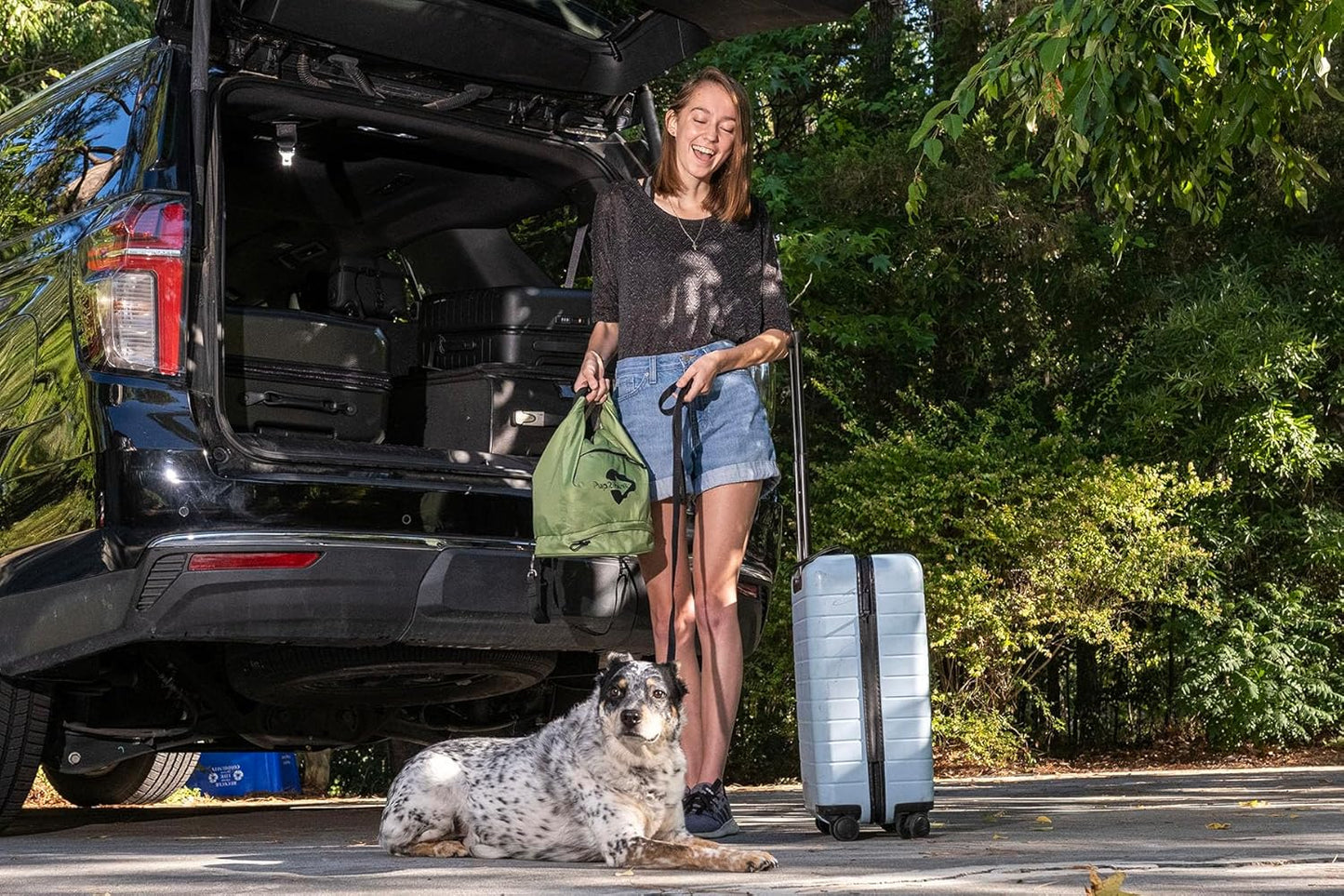 Dog Travel Bag – Large Capacity Pet Food Organizer with Backpack Leash, Water-Resistant & Food-Safe, Includes ID Tag – Travel Gear for Dogs, Hiking, Camping & Road Trips (Green)