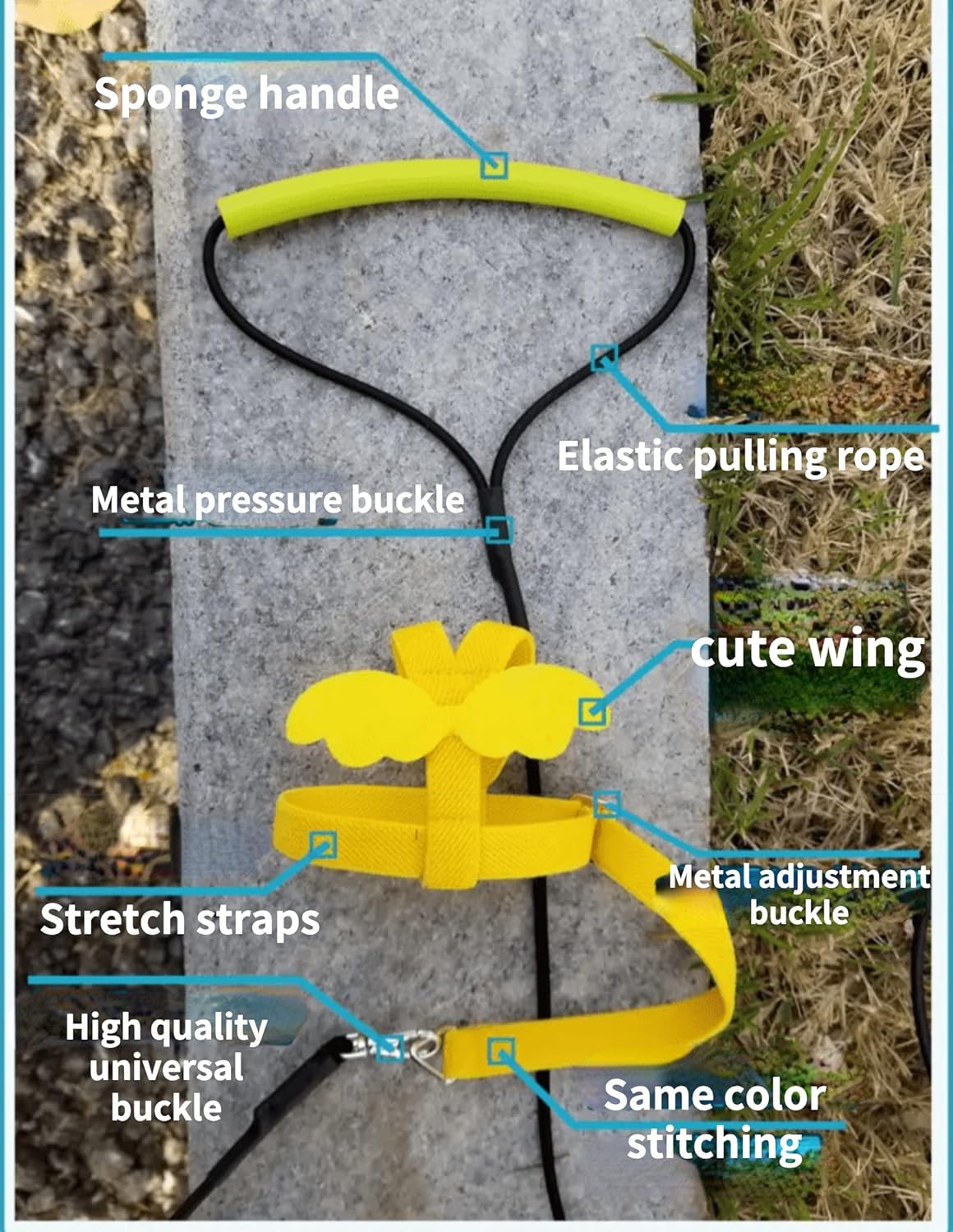 Pet Parrot Bird Harness Leash Adjustable Bird Flying Harness Traction Rope with Cute Wing for Parrots Pigeons Budgerigar Lovebird Cockatiel Mynah Outdoor Training Toy (L, Blue)