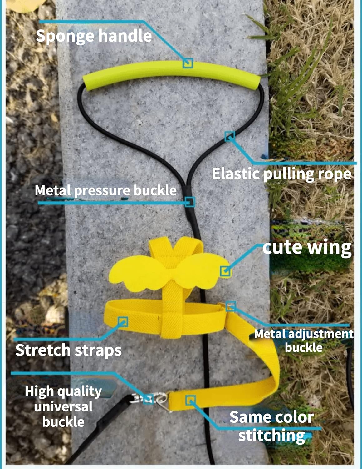 Pet Parrot Bird Harness Leash Adjustable Bird Flying Harness Traction Rope with Cute Wing for Parrots Pigeons Budgerigar Lovebird Cockatiel Mynah Outdoor Training Toy (L, Purple)