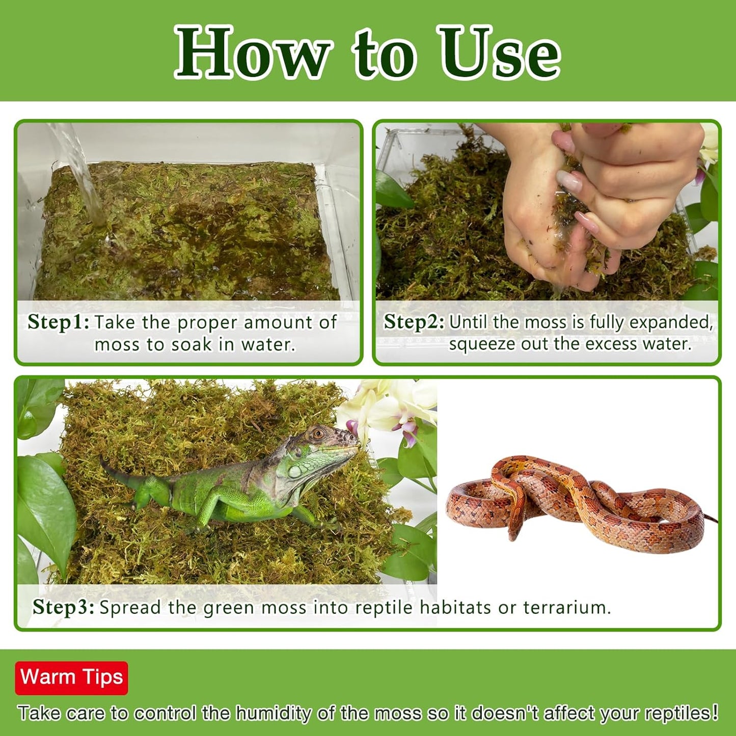 Halatool 5OZ Natural Sphagnum Moss for Reptiles- 8QT Green Live Moss for Terrarium Plants Long Fiber Reptile Moss for Leopard Gecko Snake Hamsters Tortoises Frogs Lizards Salamanders